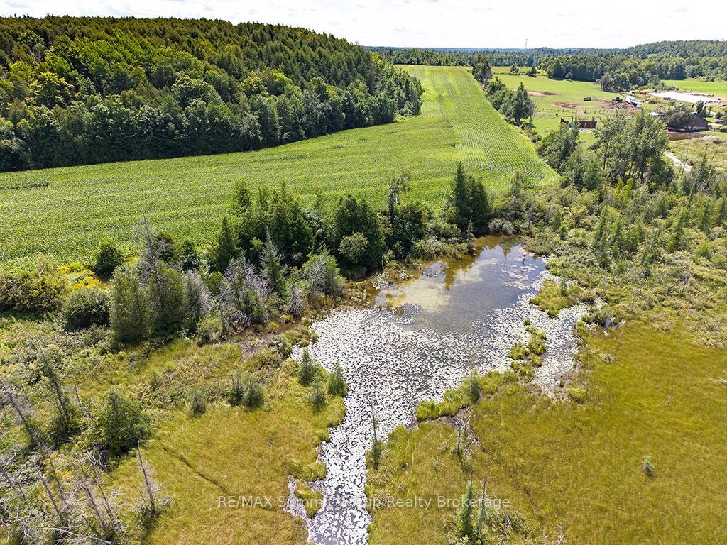 449686 10th Concession Road Property Photo 39