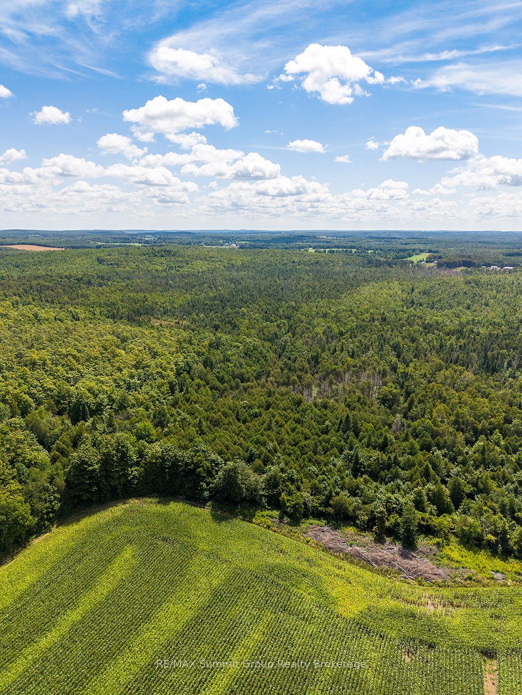 449686 10th Concession Road Property Photo 40