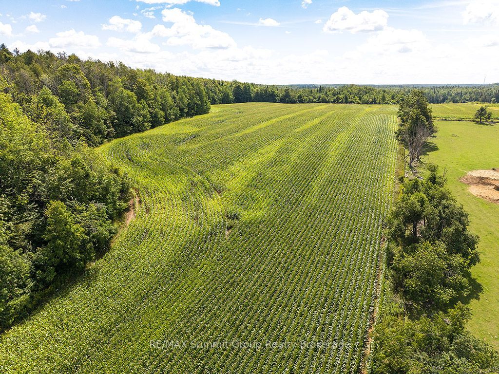 449686 10th Concession Road Property Photo 45