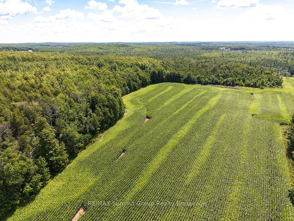 449686 10th Concession Road Property Photo 46