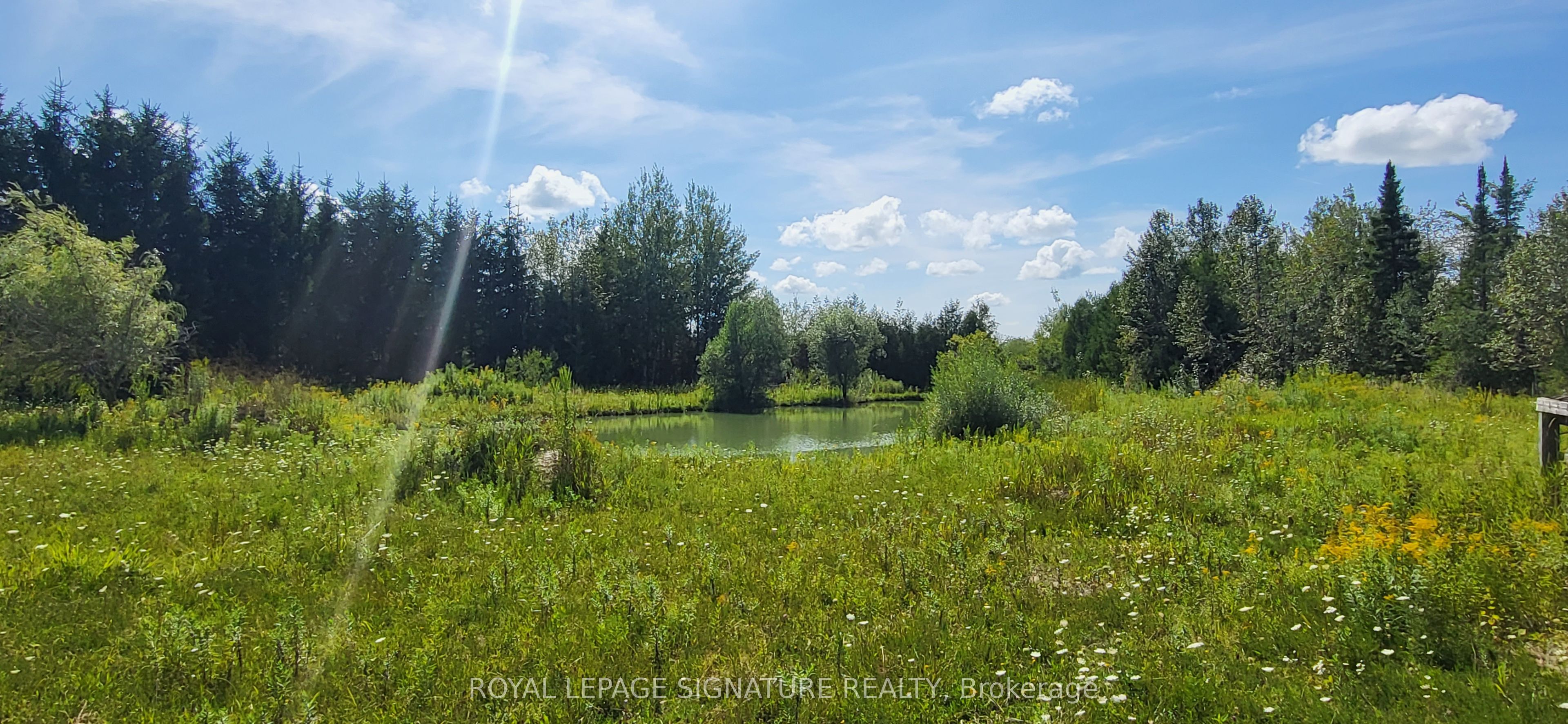 555178 Mono Amaranth Townline Property Photo 27