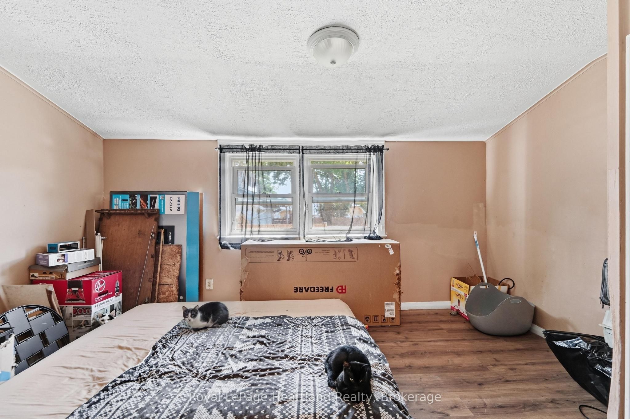132 Queen Street Property Photo 17