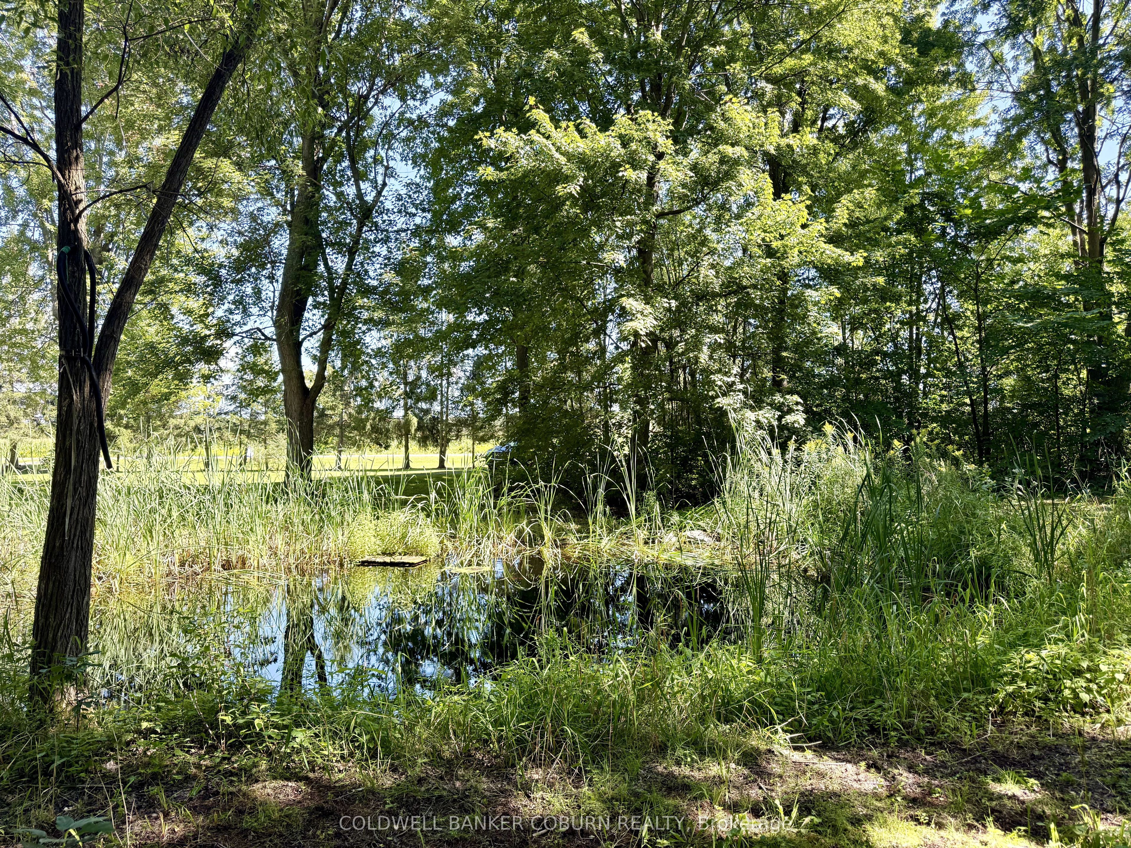 4808 Flagg Road Property Photo 39