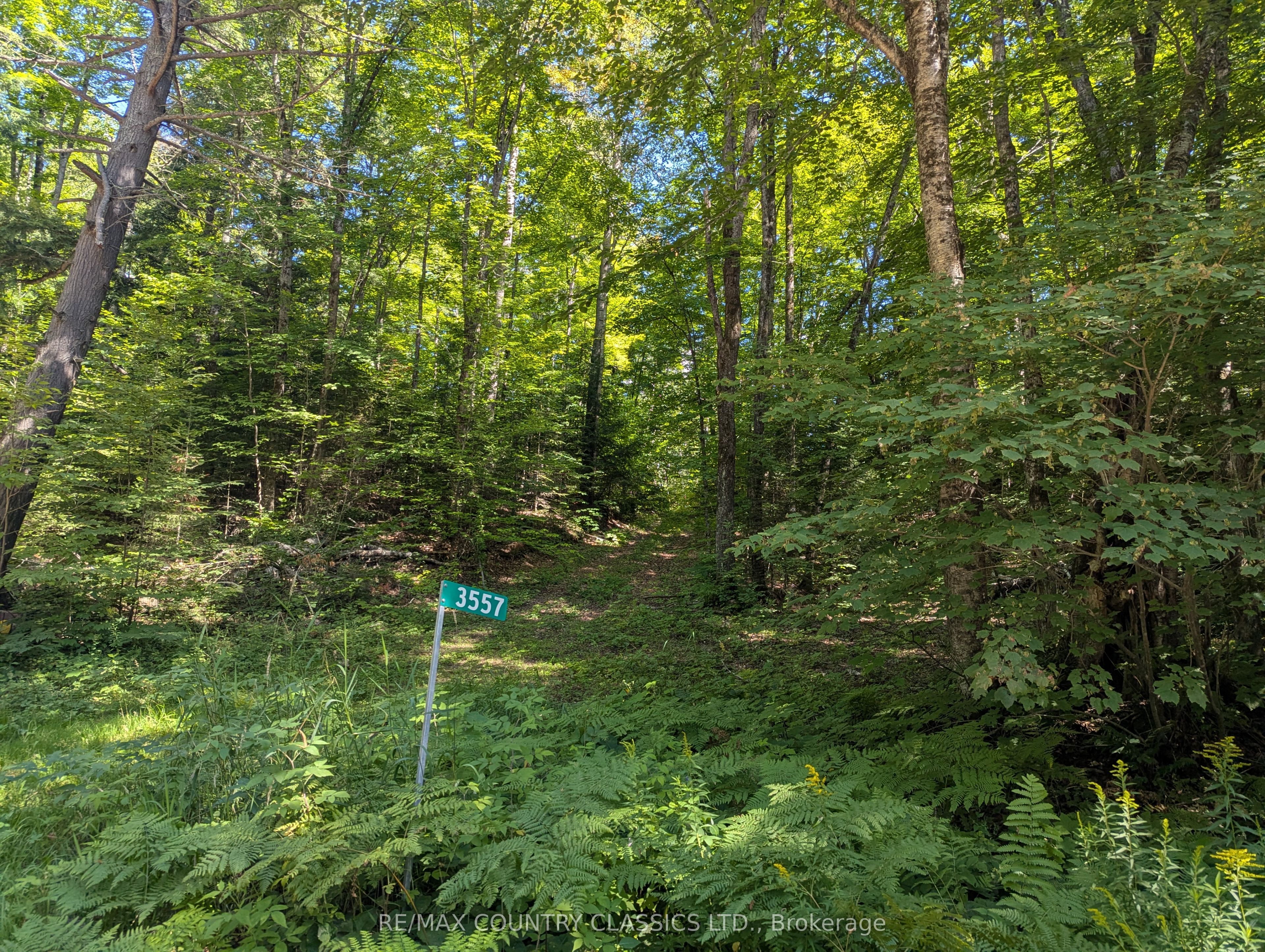 3557 Mountainview Road Property Photo 1