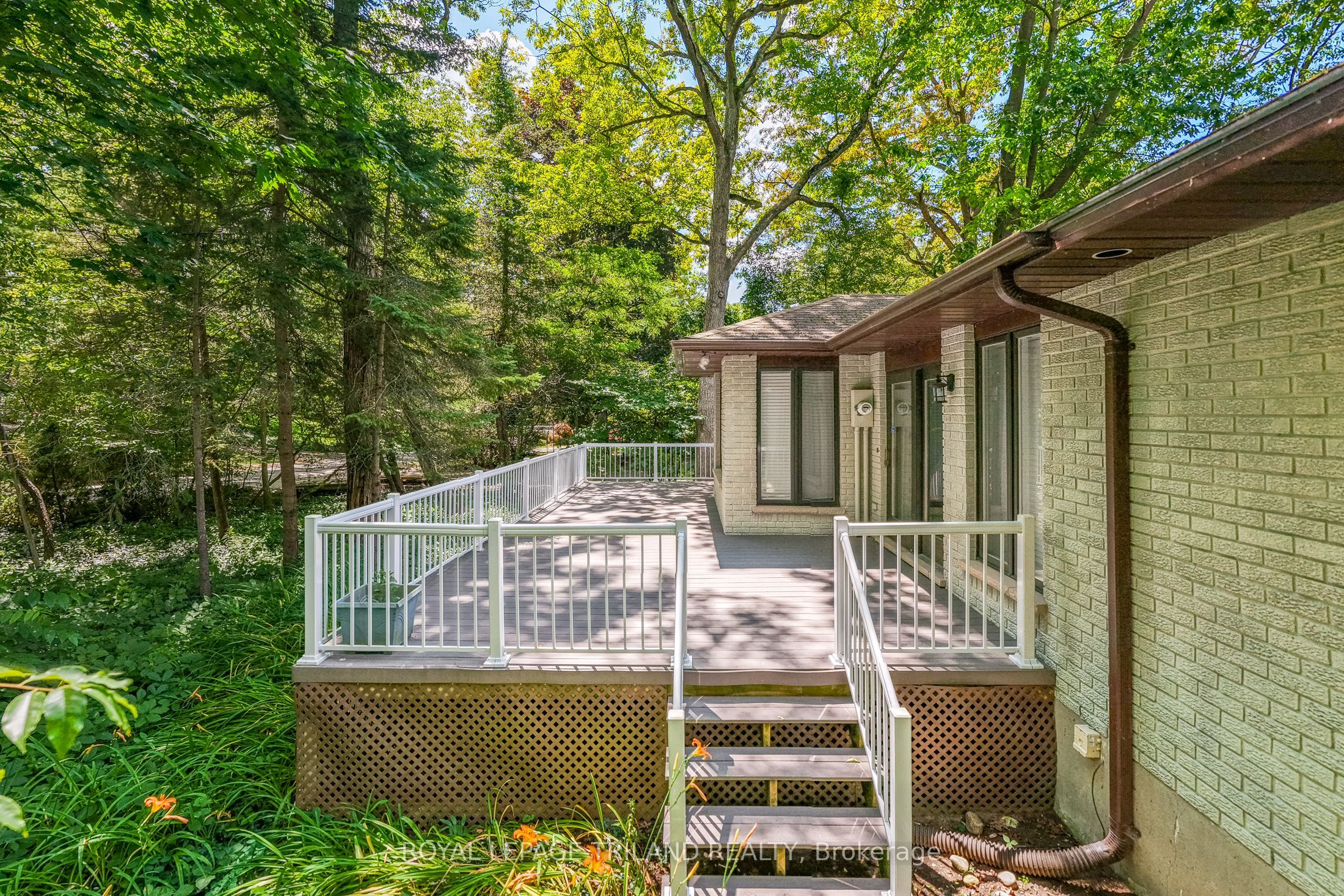 33 Forest Avenue Property Photo 12
