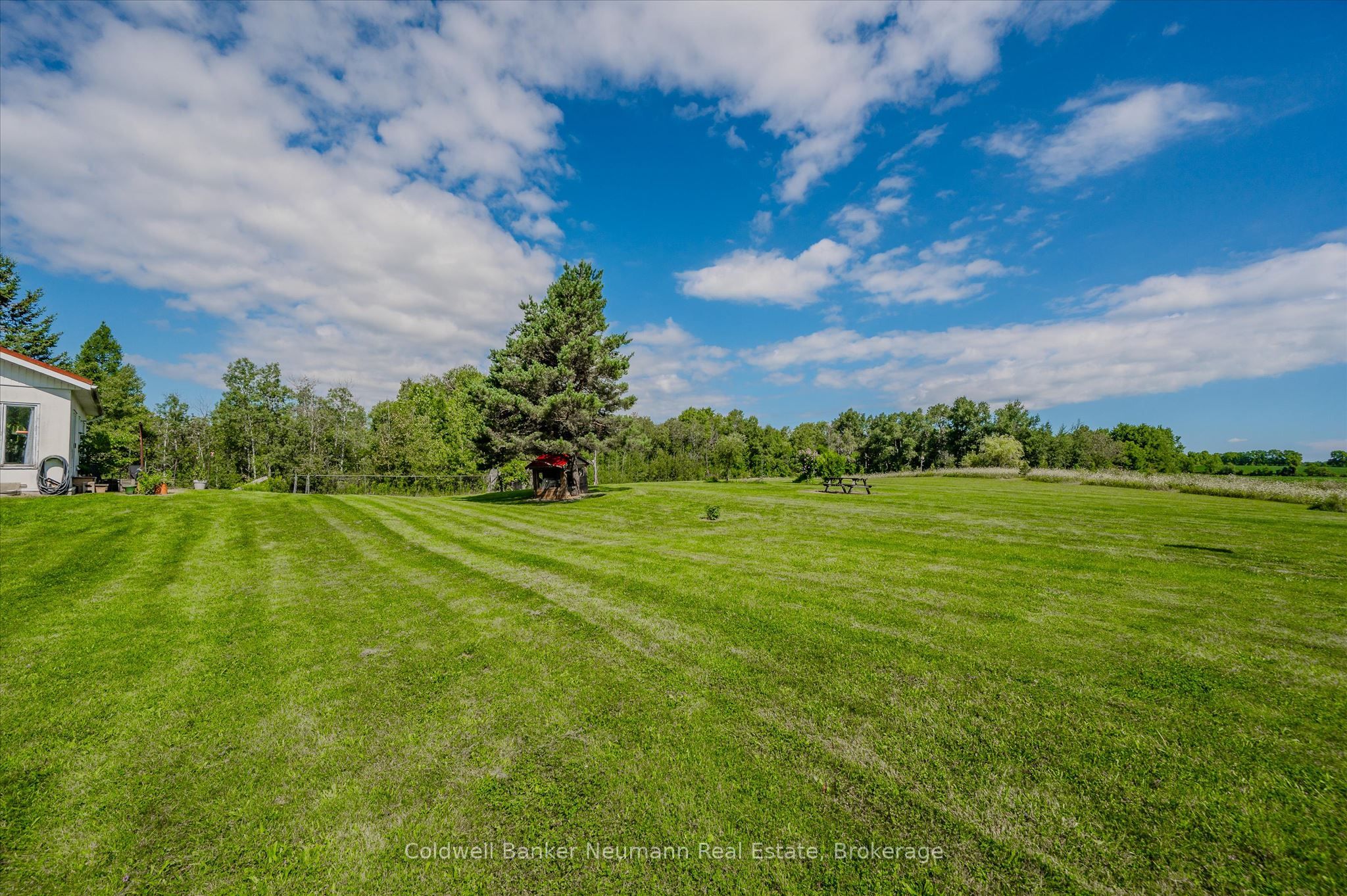 7530 Macpherson Lane Property Photo 18