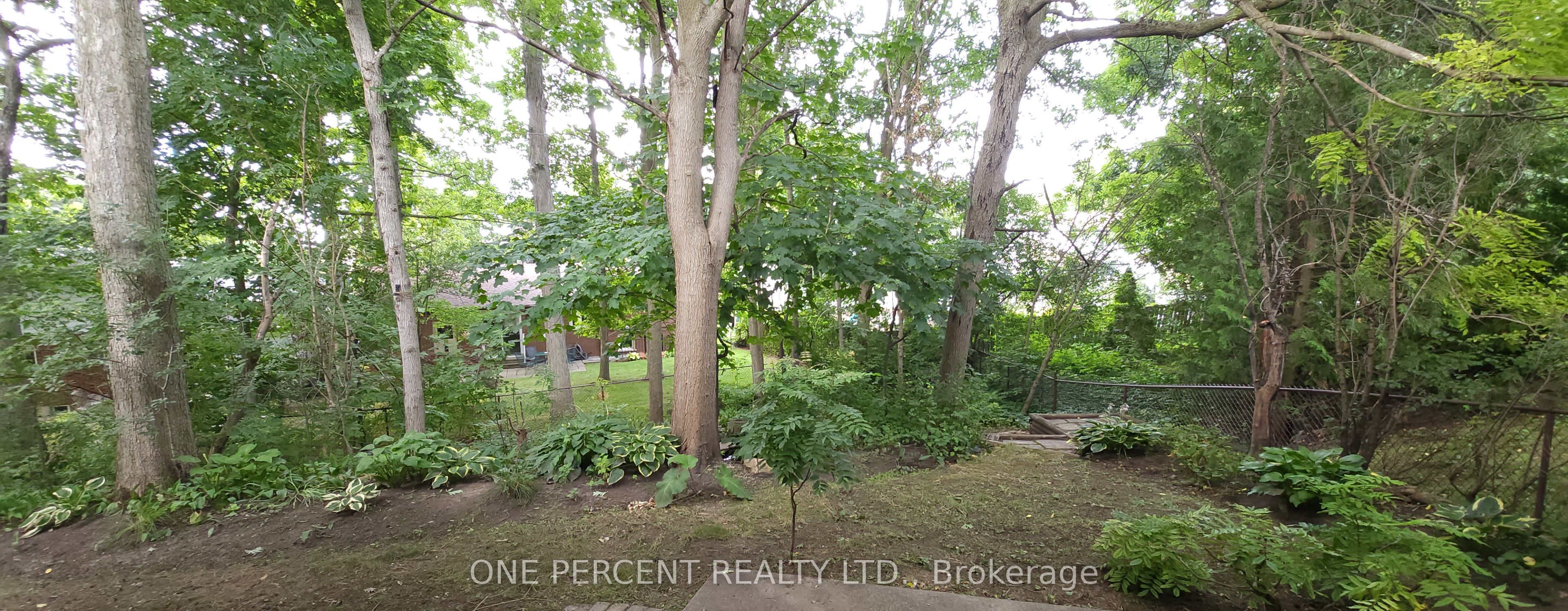 86 Haliburton Road Property Photo 42