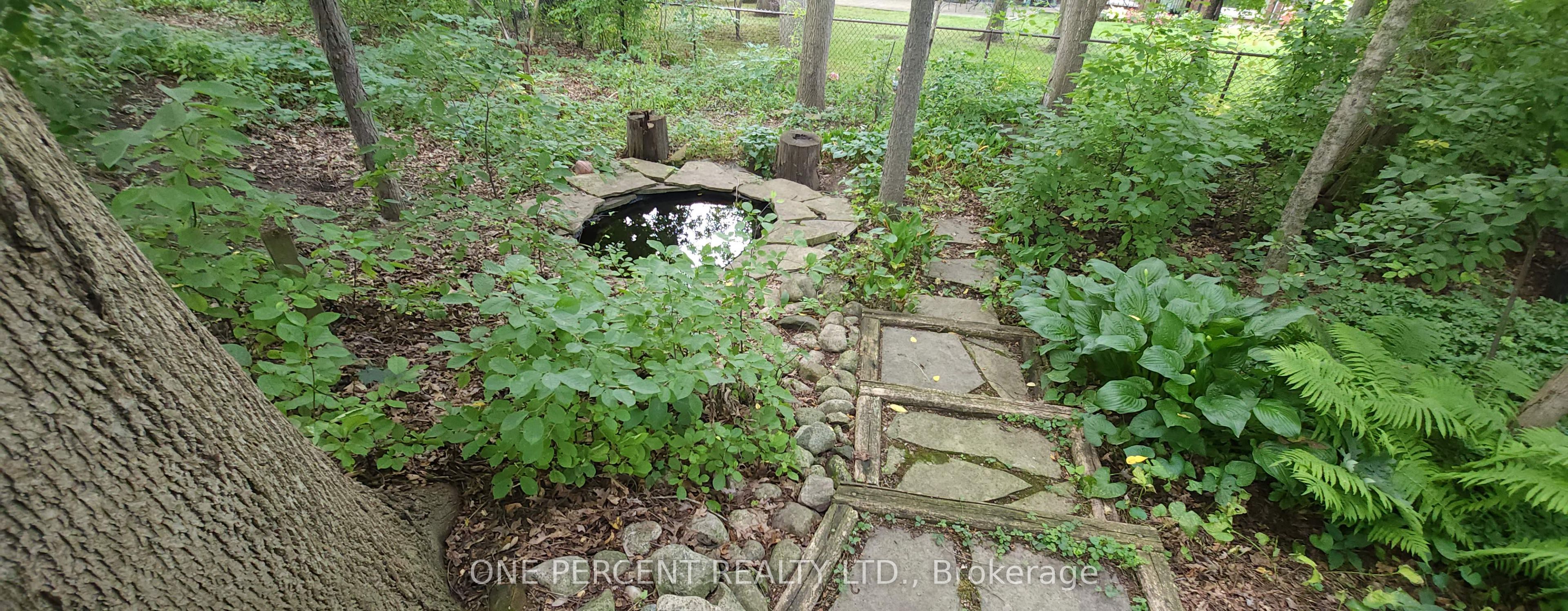 86 Haliburton Road Property Photo 45