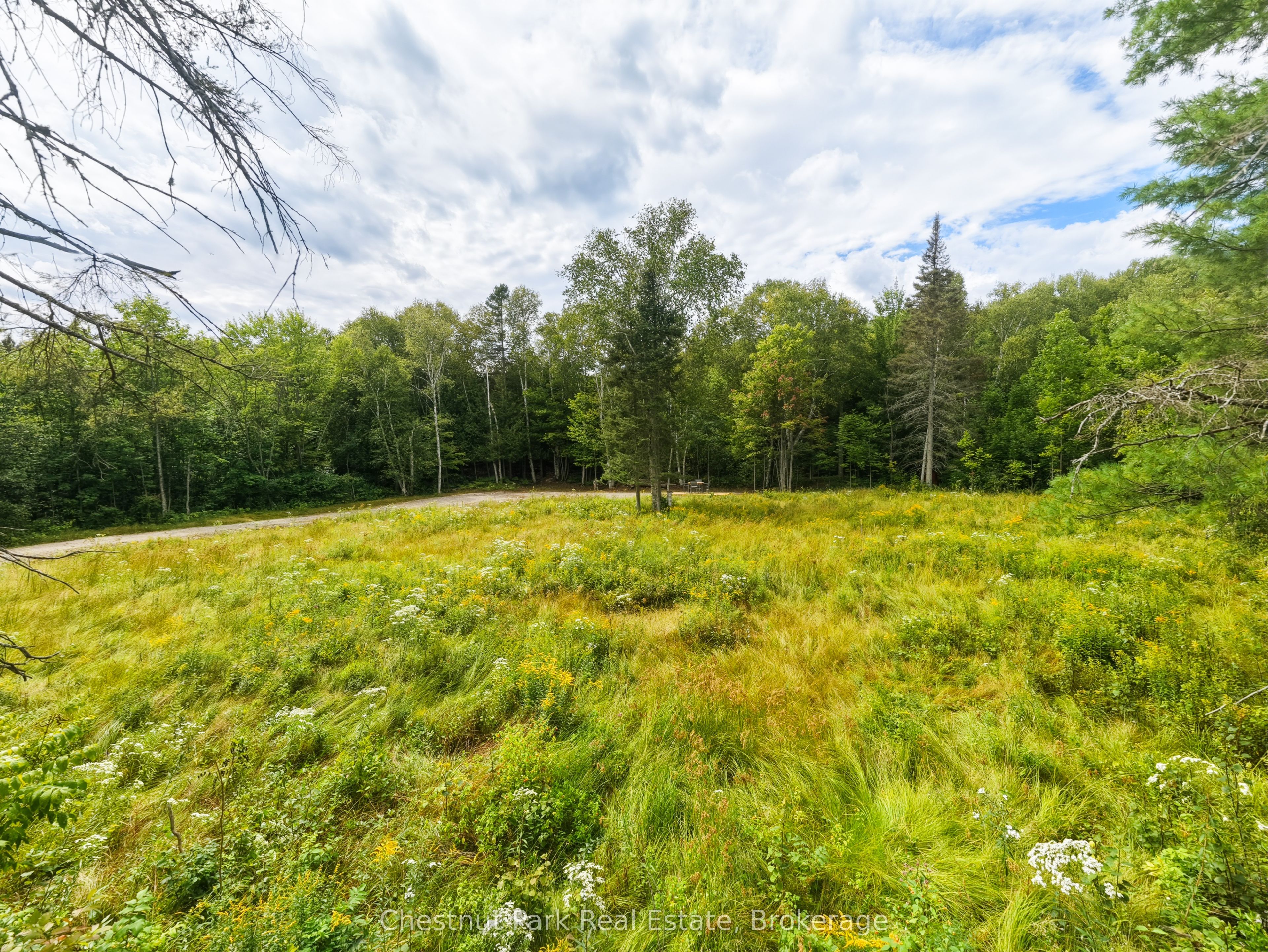 106 Golf Course Road Property Photo 5