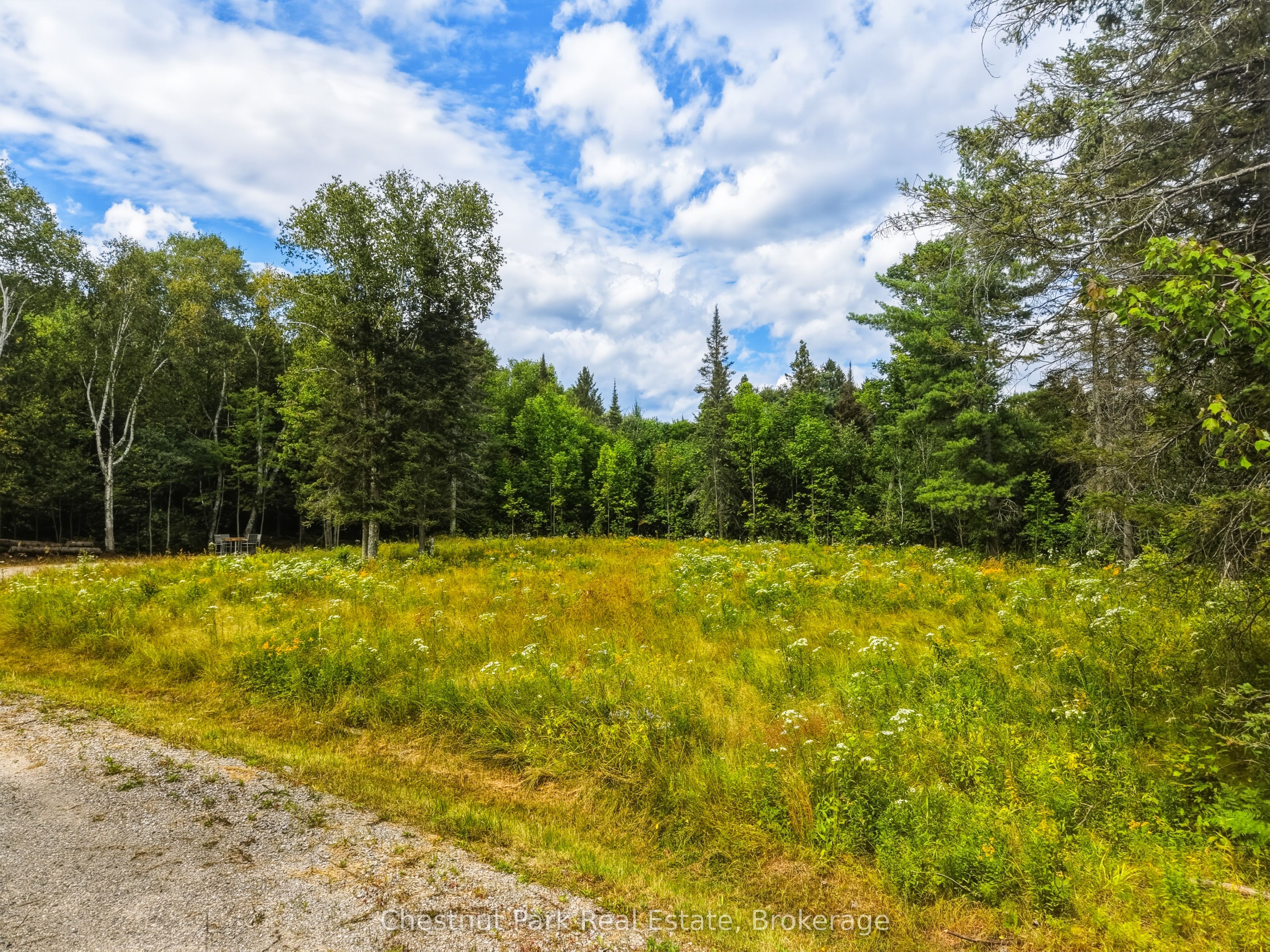 106 Golf Course Road Property Photo 8