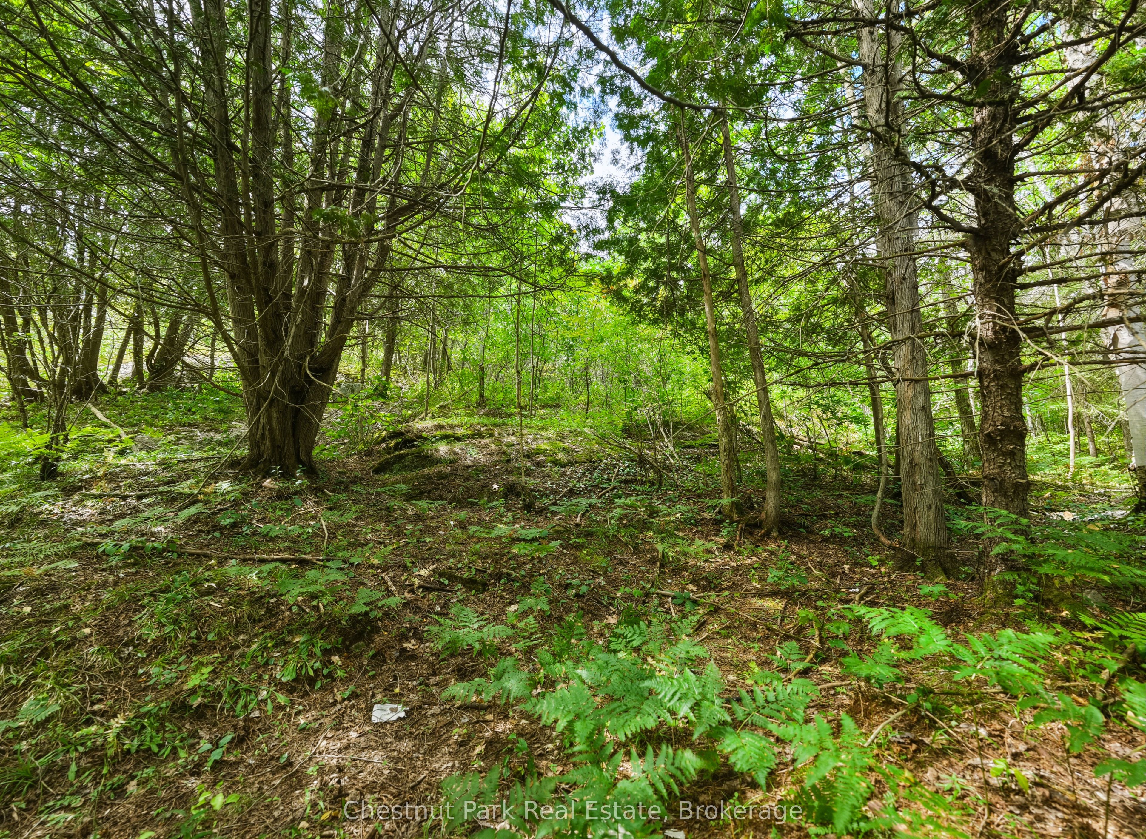 106 Golf Course Road Property Photo 13