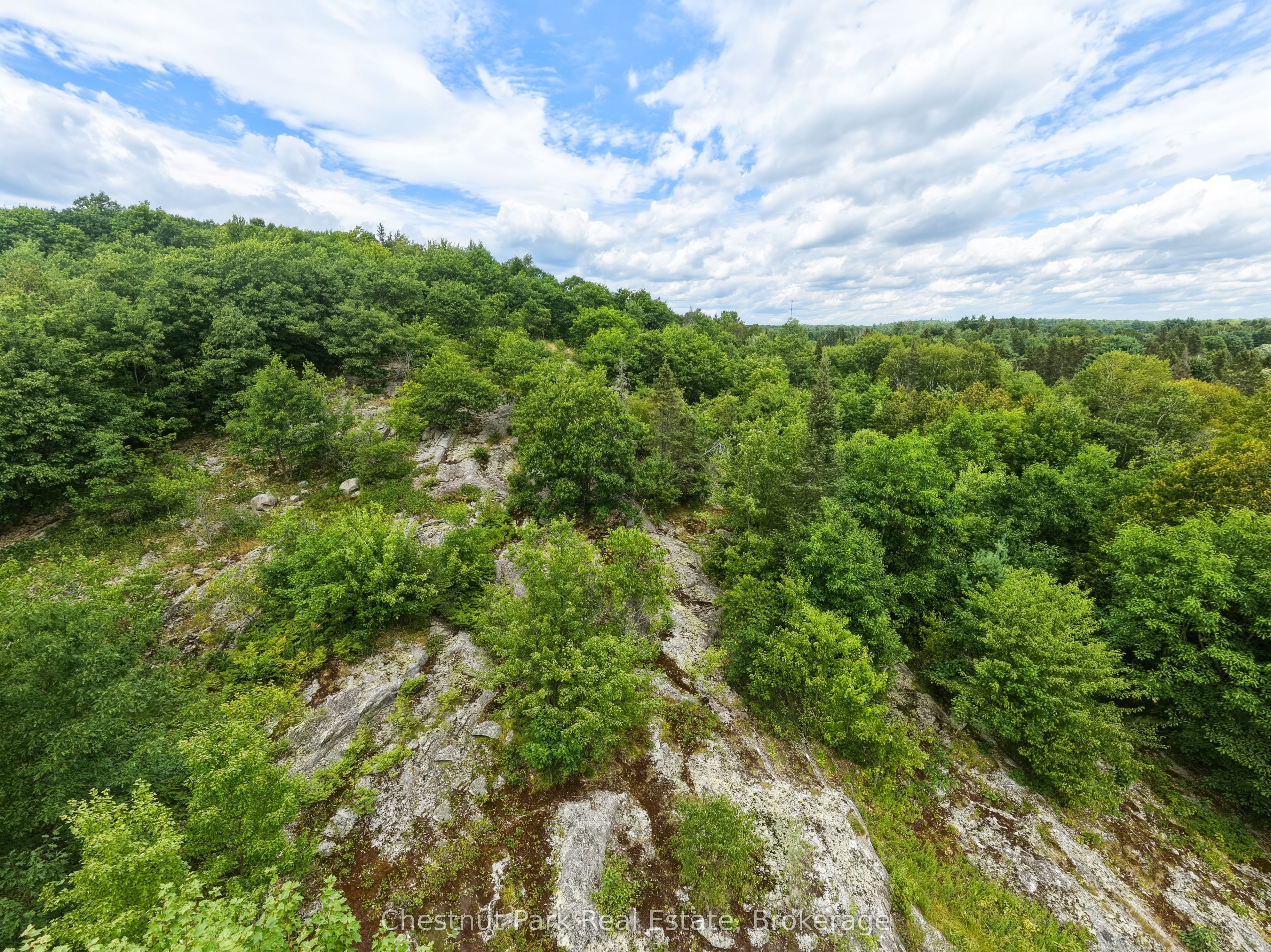 106 Golf Course Road Property Photo 14