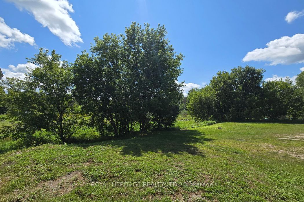 1009 Elm Tree Road Property Photo 19