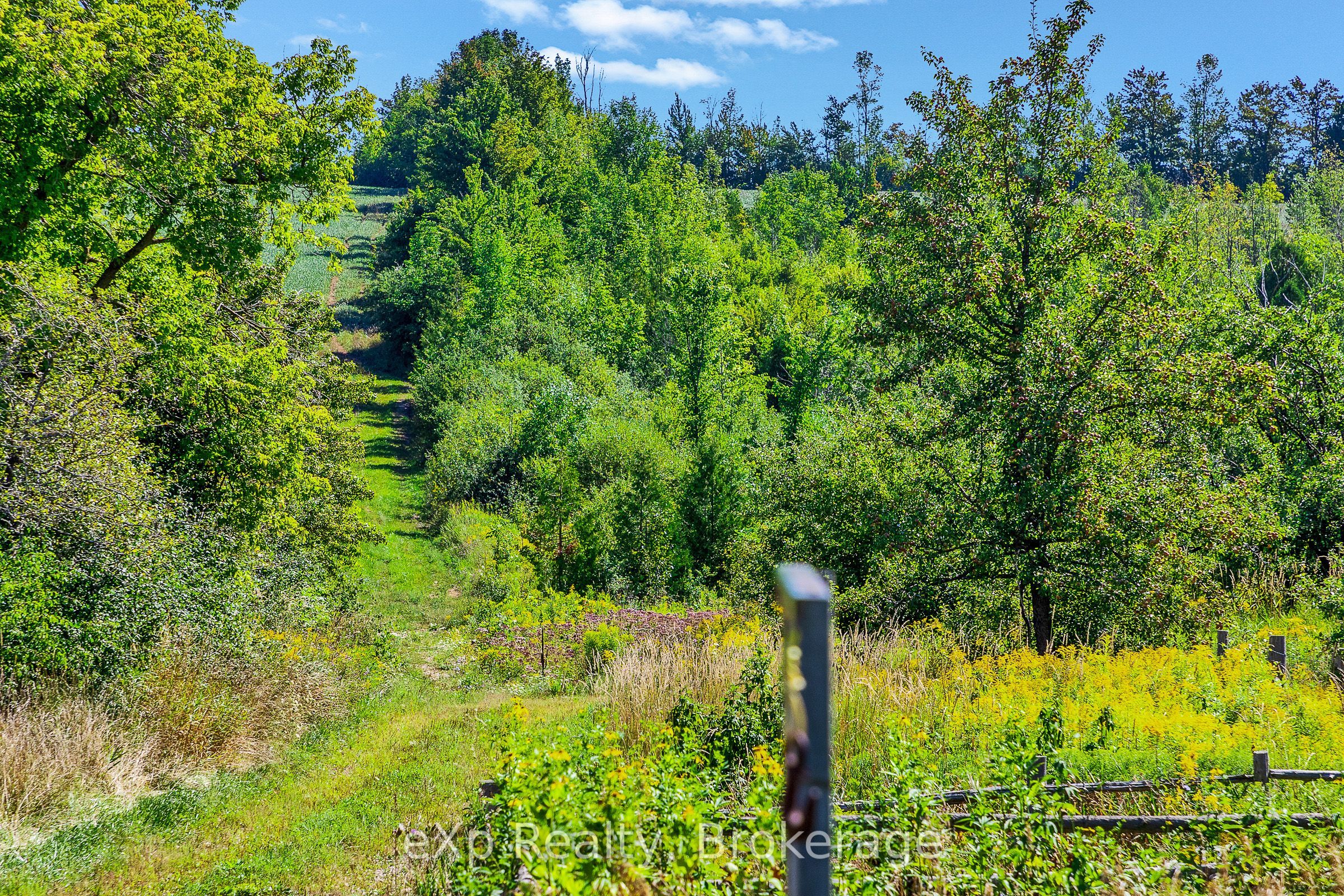 58111 12th Line Property Photo 25