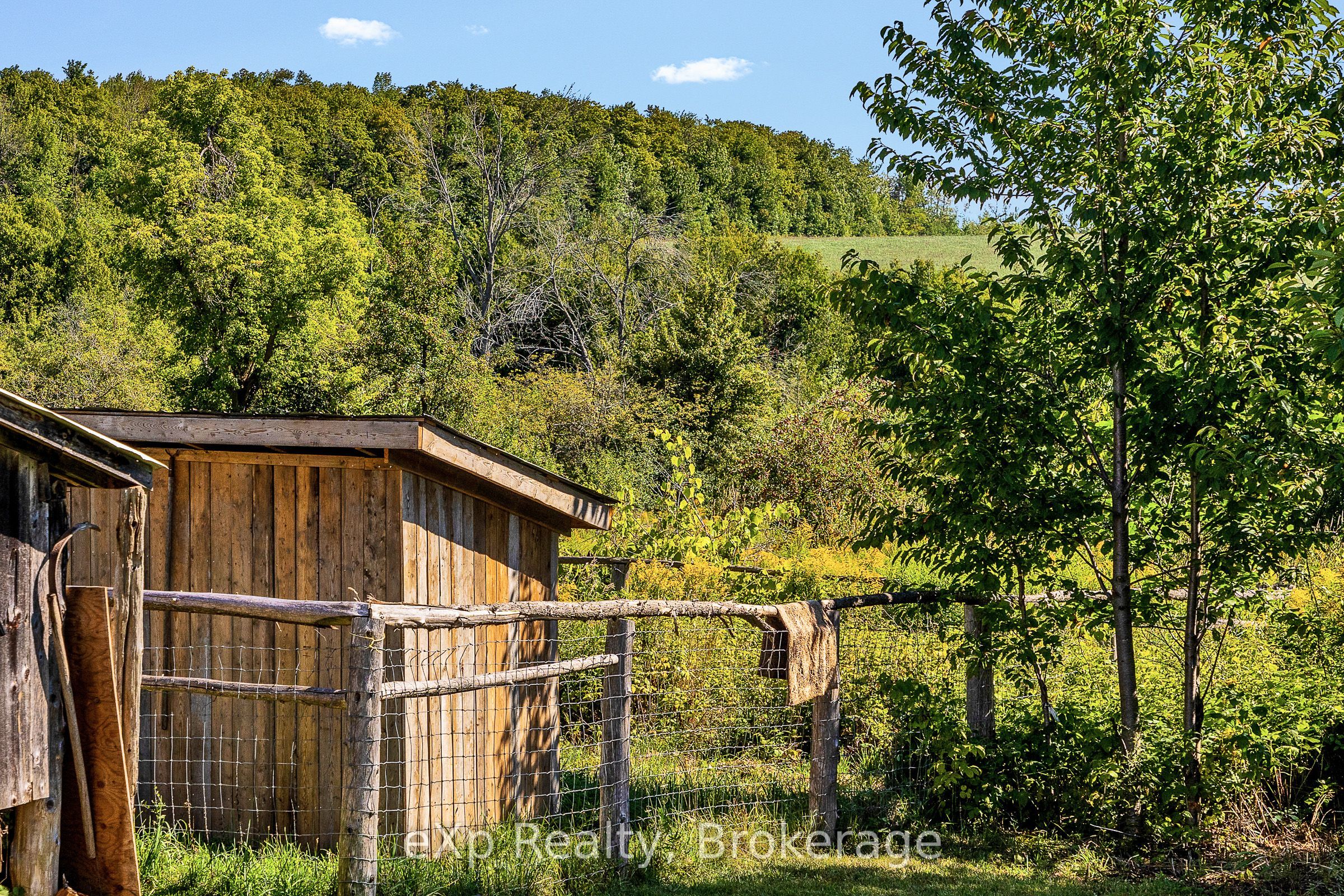 58111 12th Line Property Photo 26