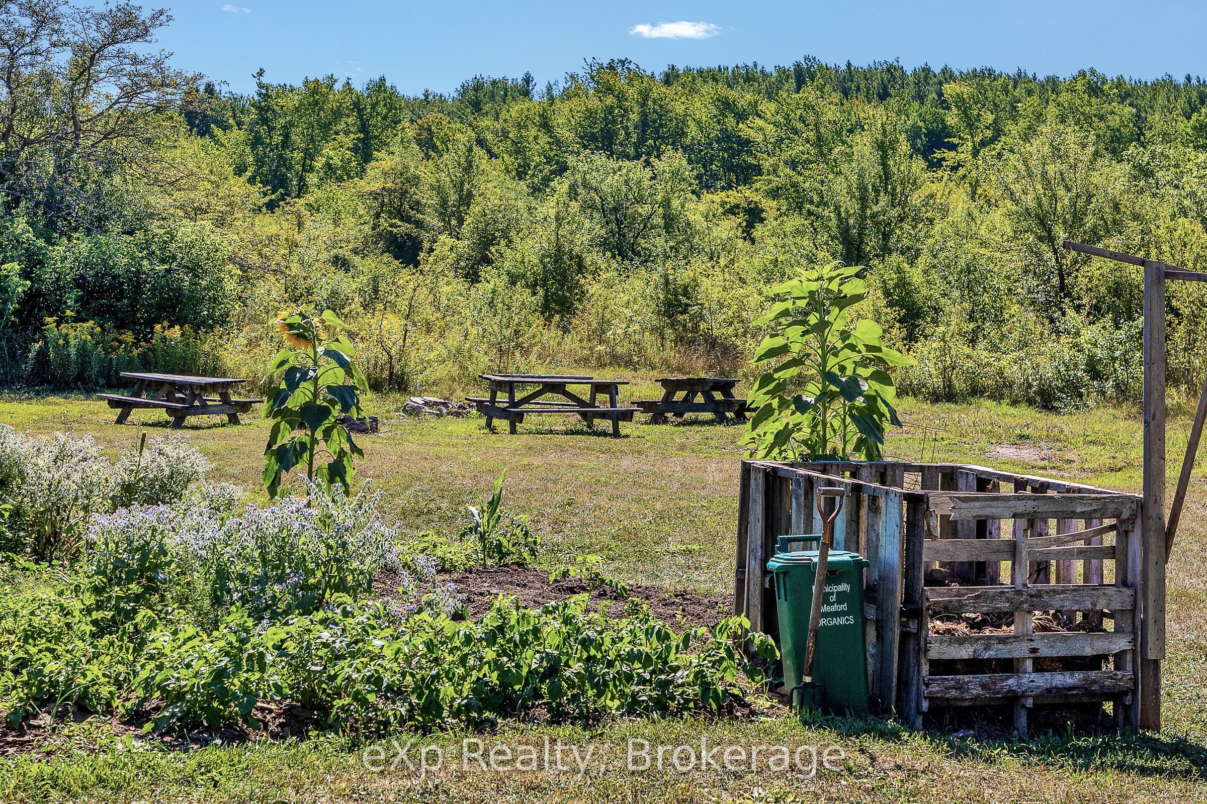 58111 12th Line Property Photo 27