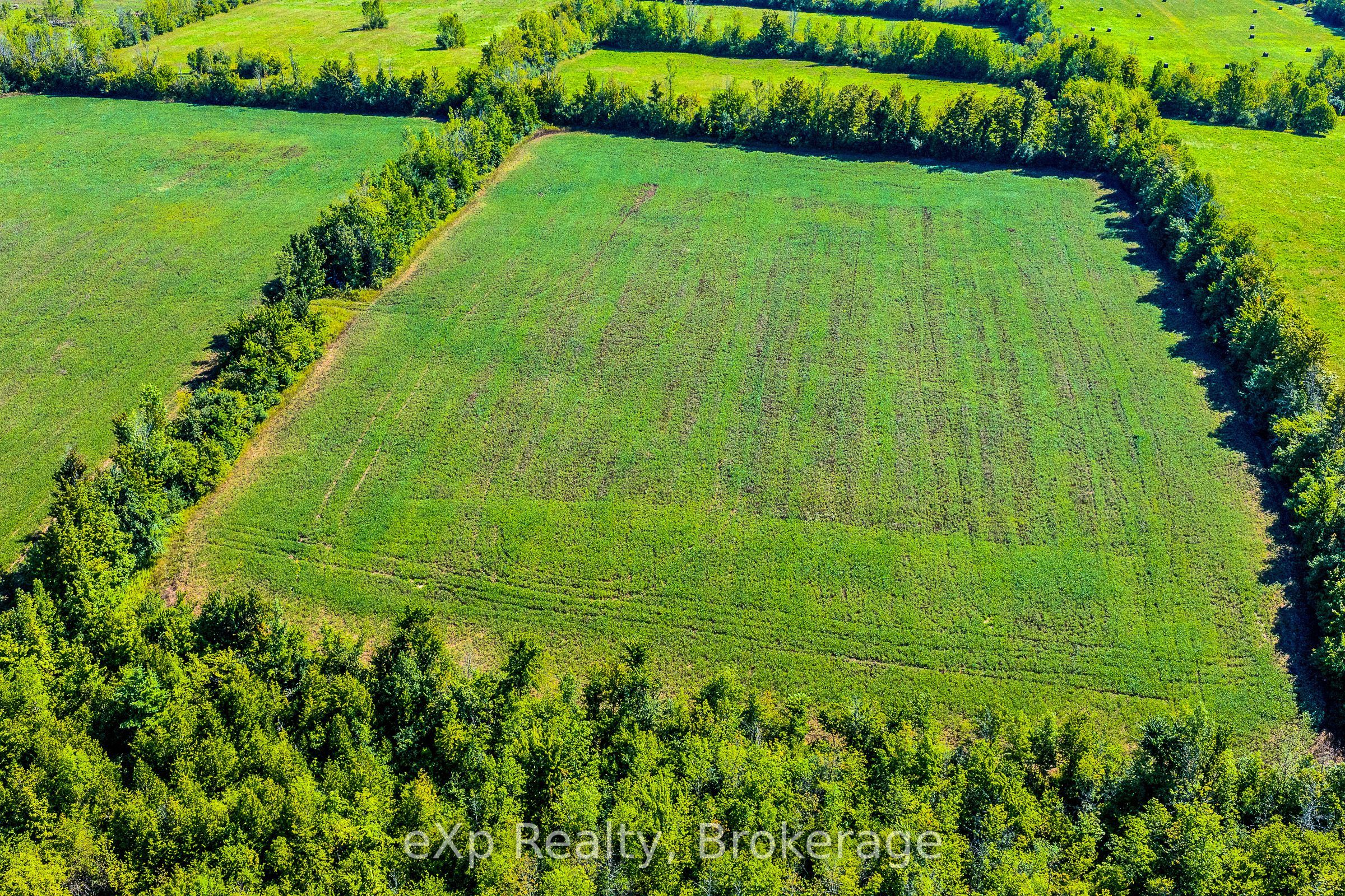 58111 12th Line Property Photo 31