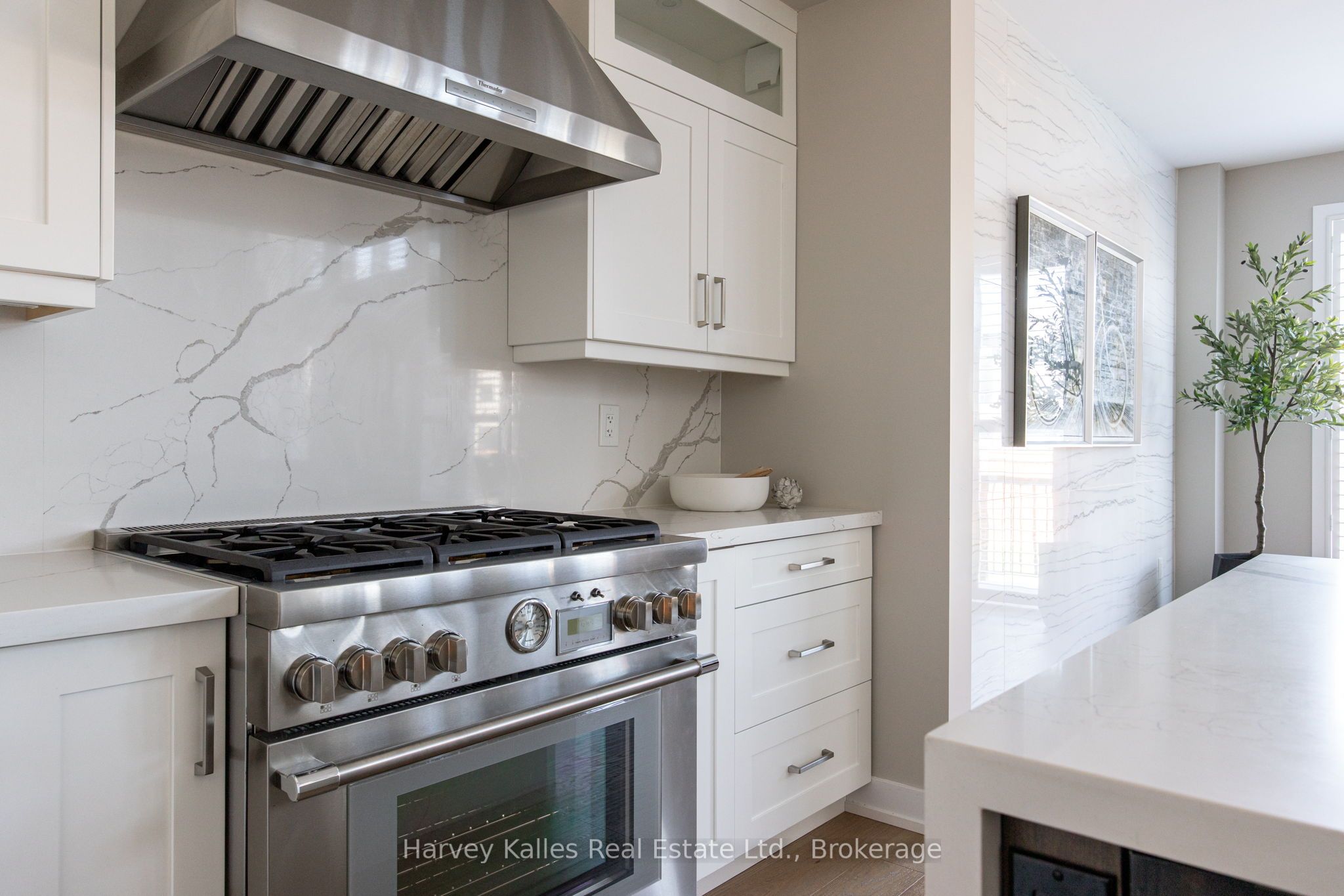 163 Springside Crescent Property Photo 17