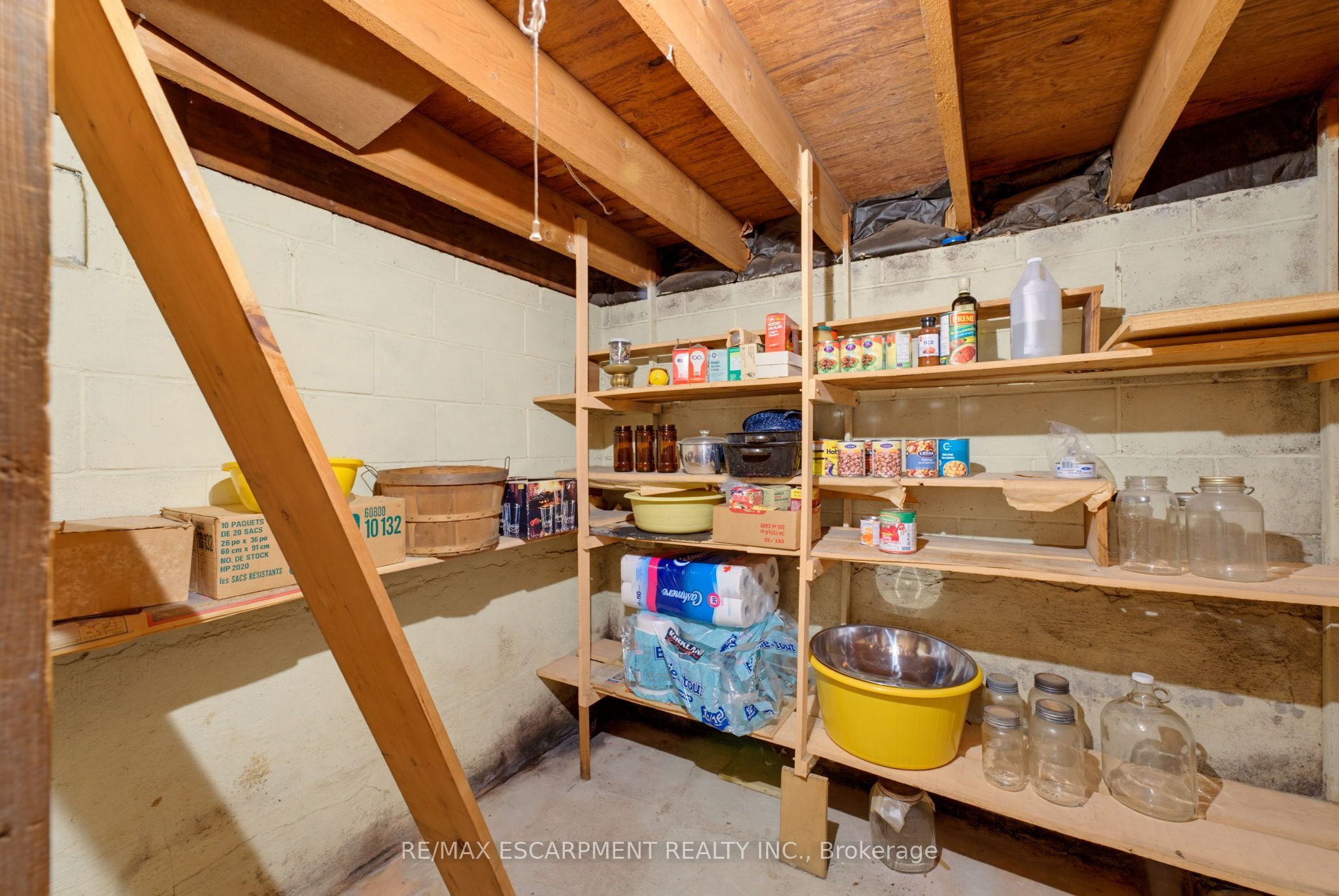 22 Mildred Avenue Property Photo 22