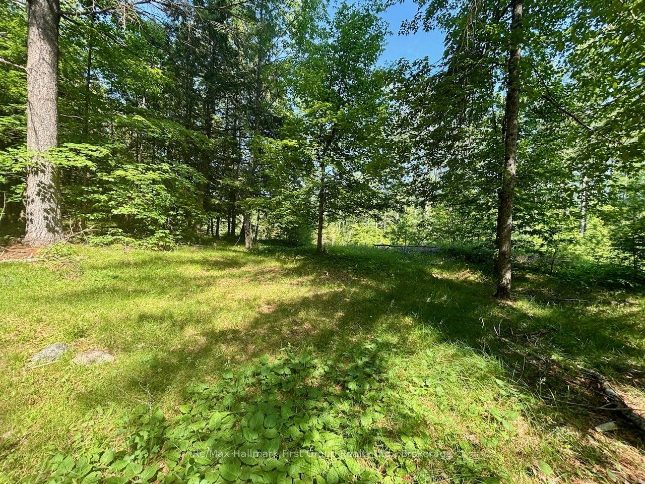 2495 Flinton Road Property Photo 1