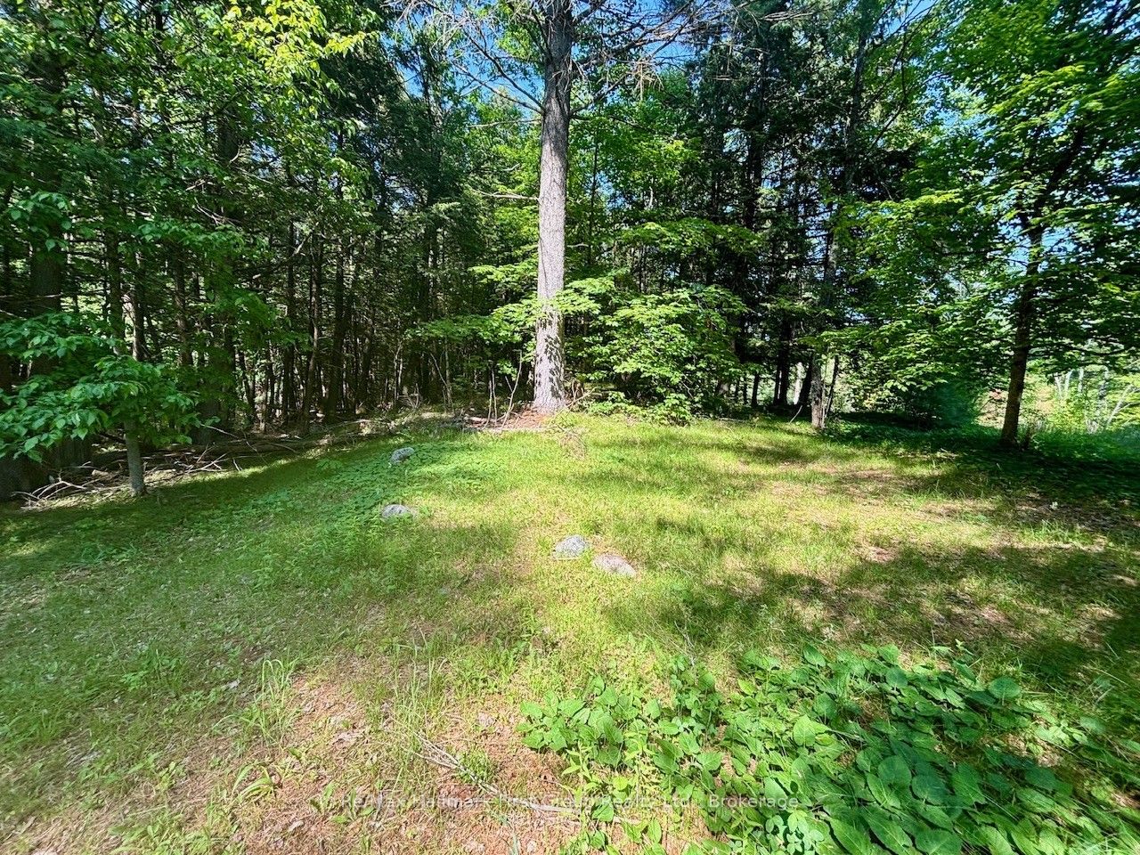2495 Flinton Road Property Photo 2
