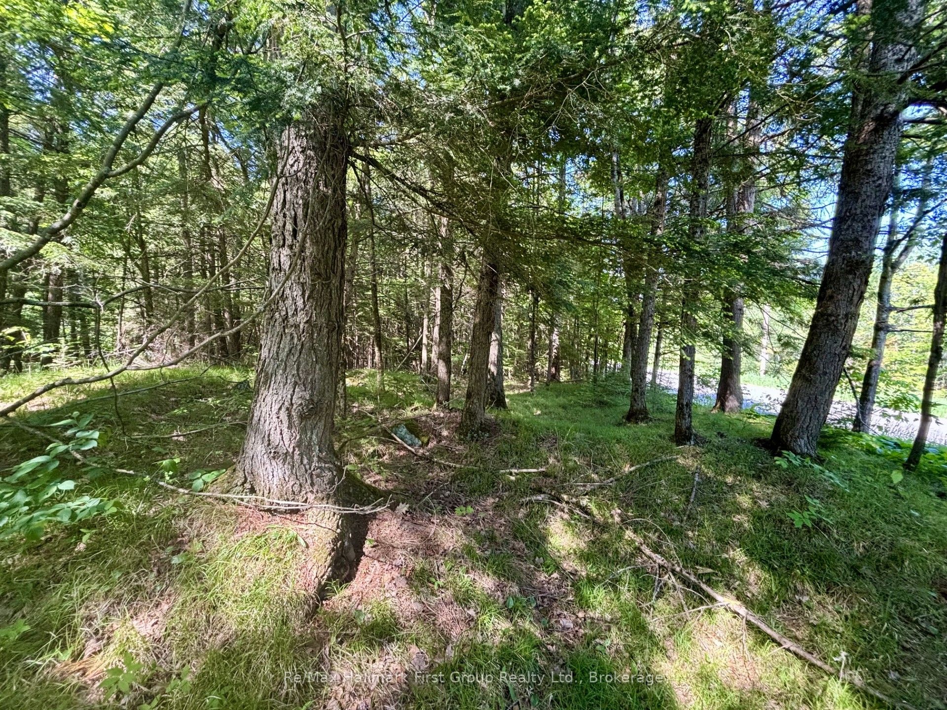2495 Flinton Road Property Photo 6