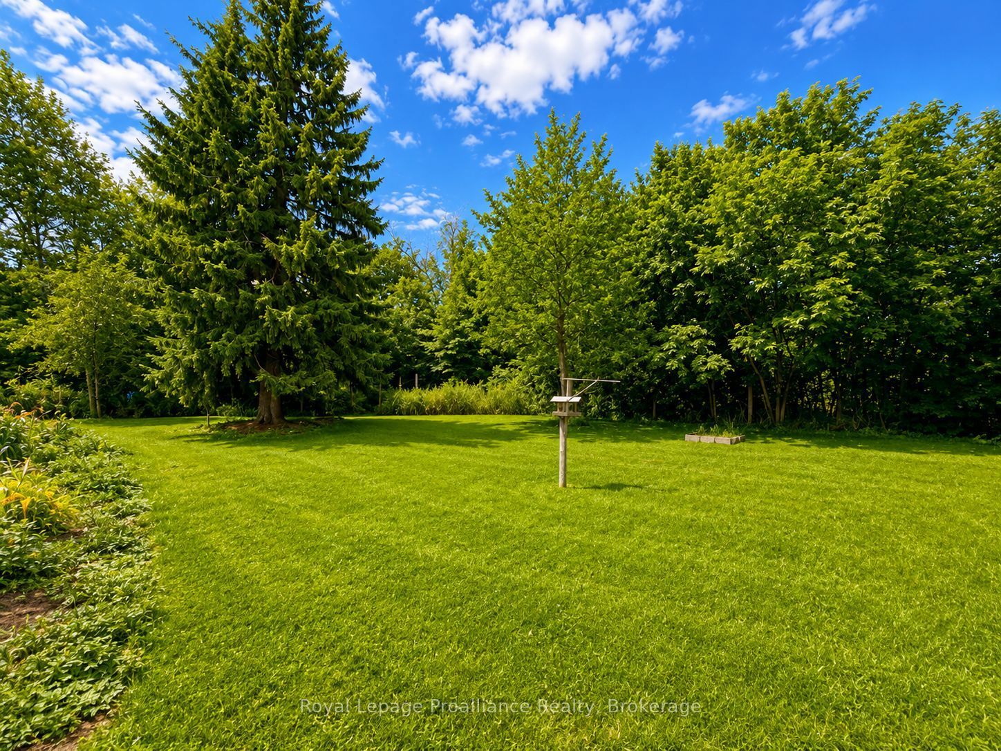 251 Goods Road Property Photo 31