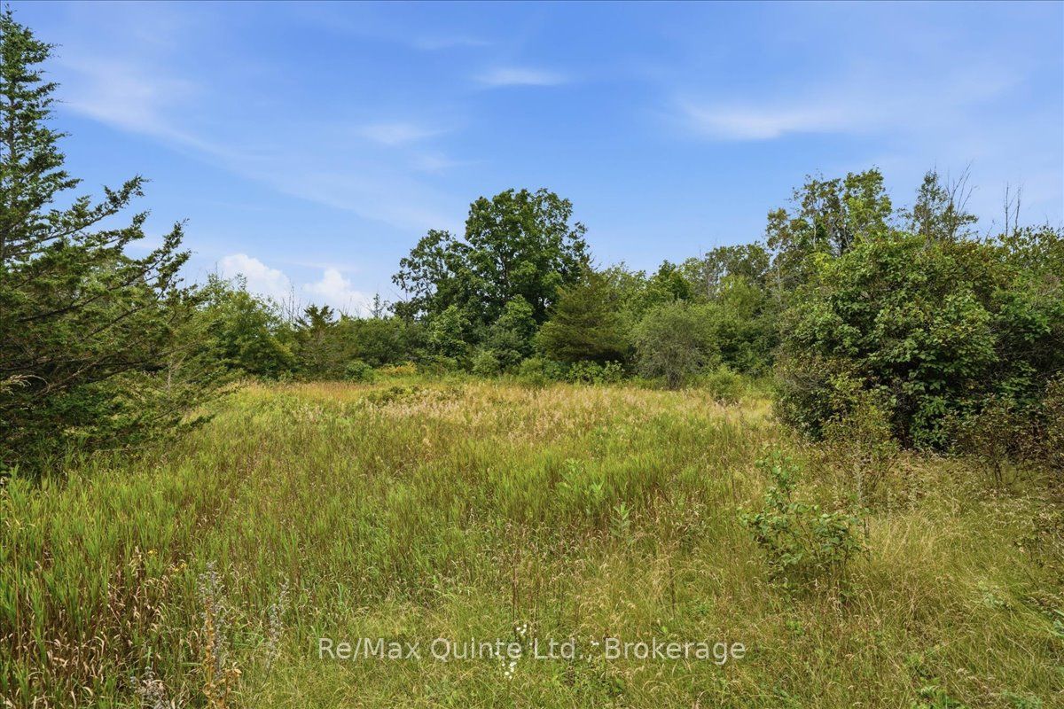 625 Babylon Road Property Photo 17
