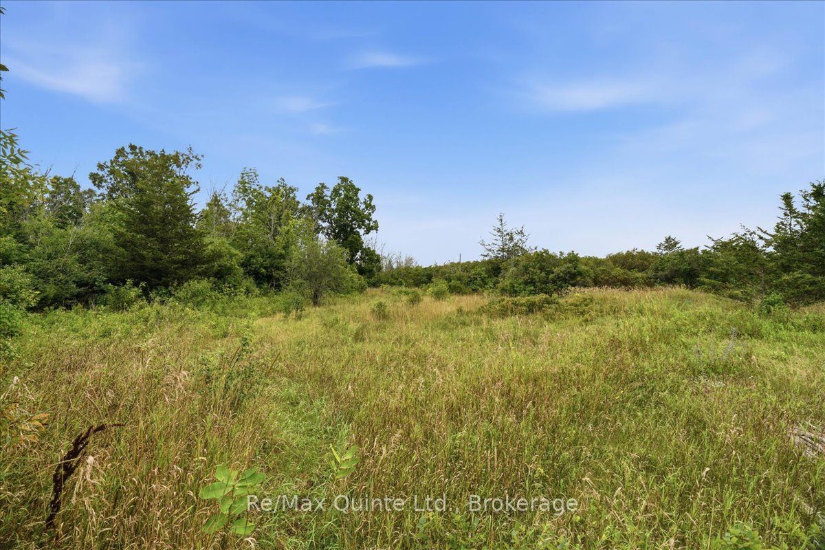 625 Babylon Road Property Photo 18