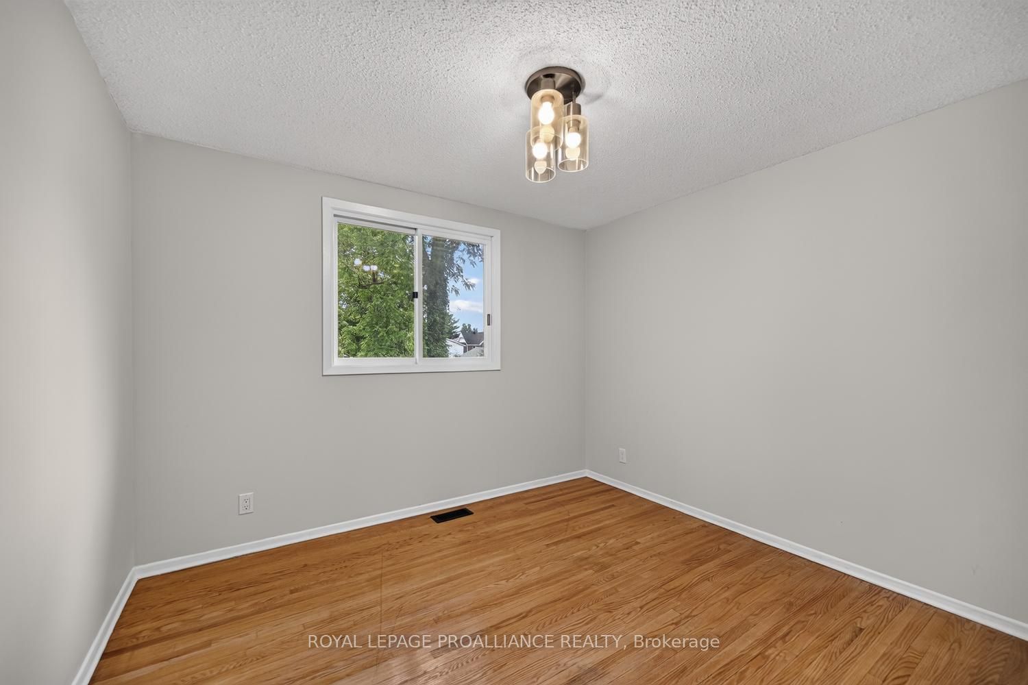 59 Abbott Street Property Photo 15