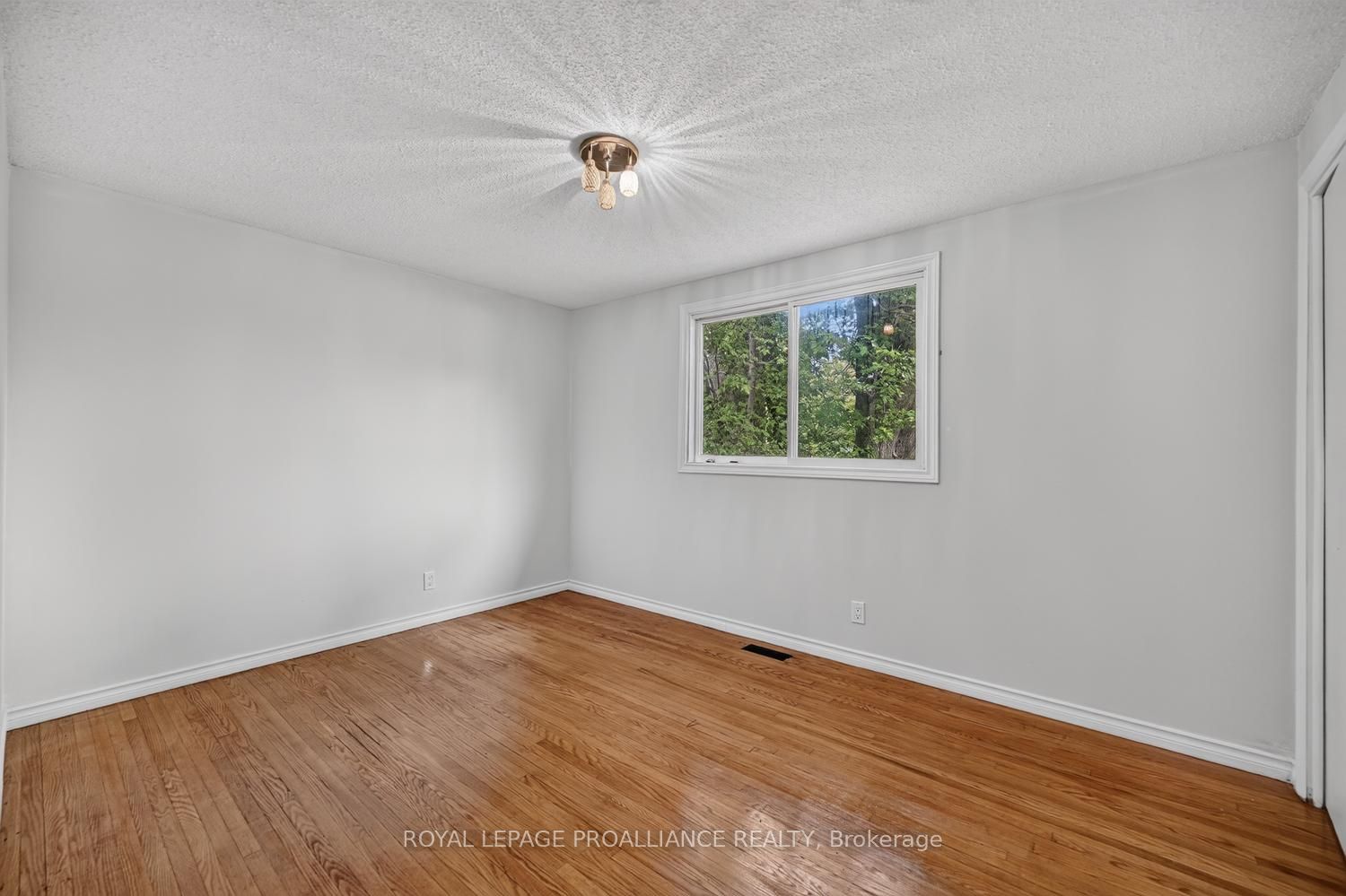 59 Abbott Street Property Photo 17