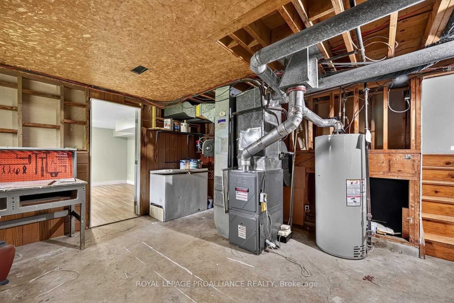 59 Abbott Street Property Photo 23