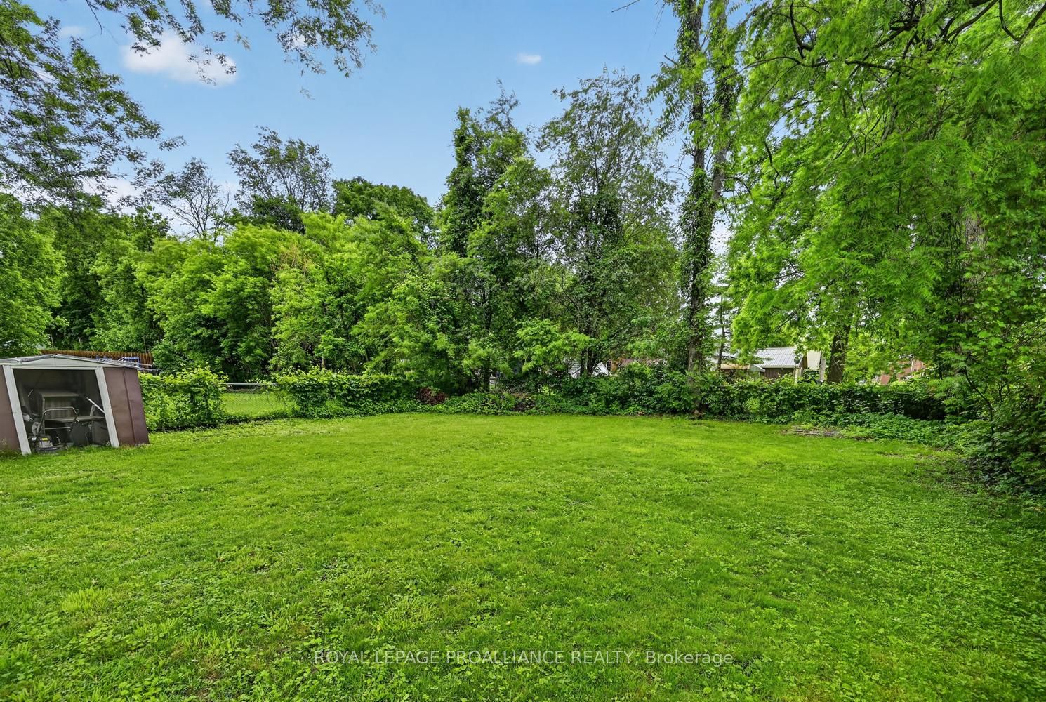 59 Abbott Street Property Photo 26