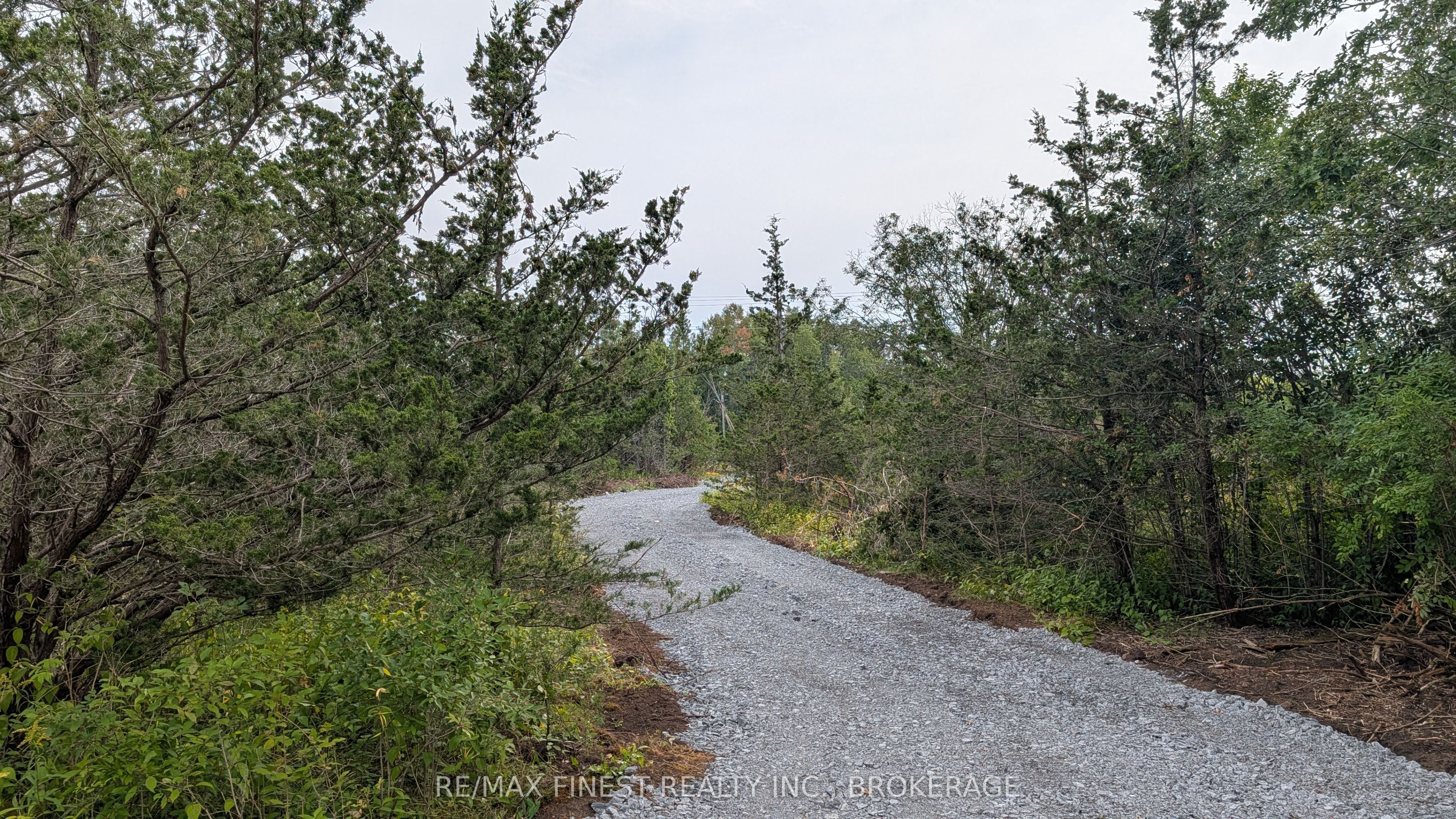 0 County Road 2 Property Photo 11