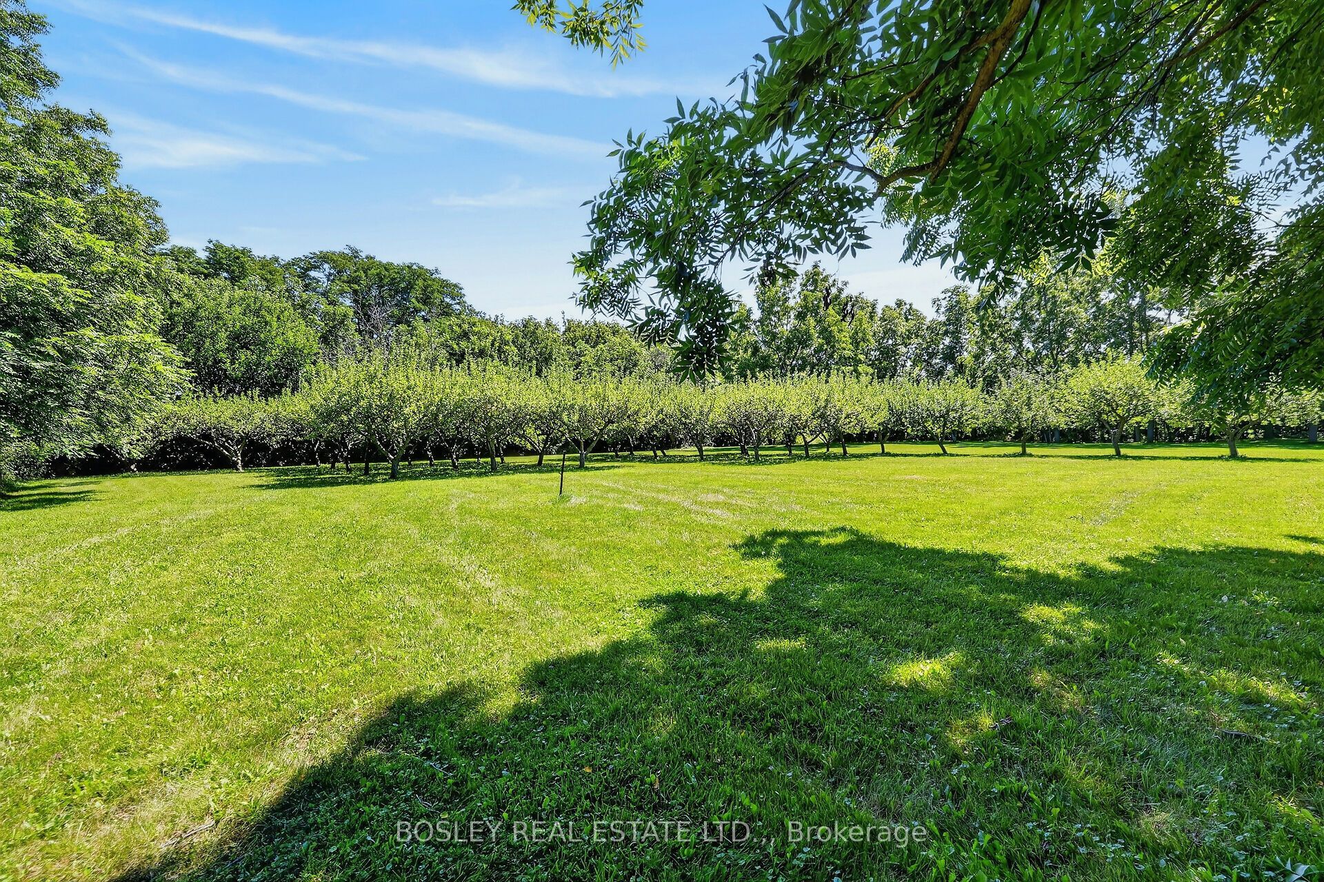 1073 Concession 2 Road Property Photo 26