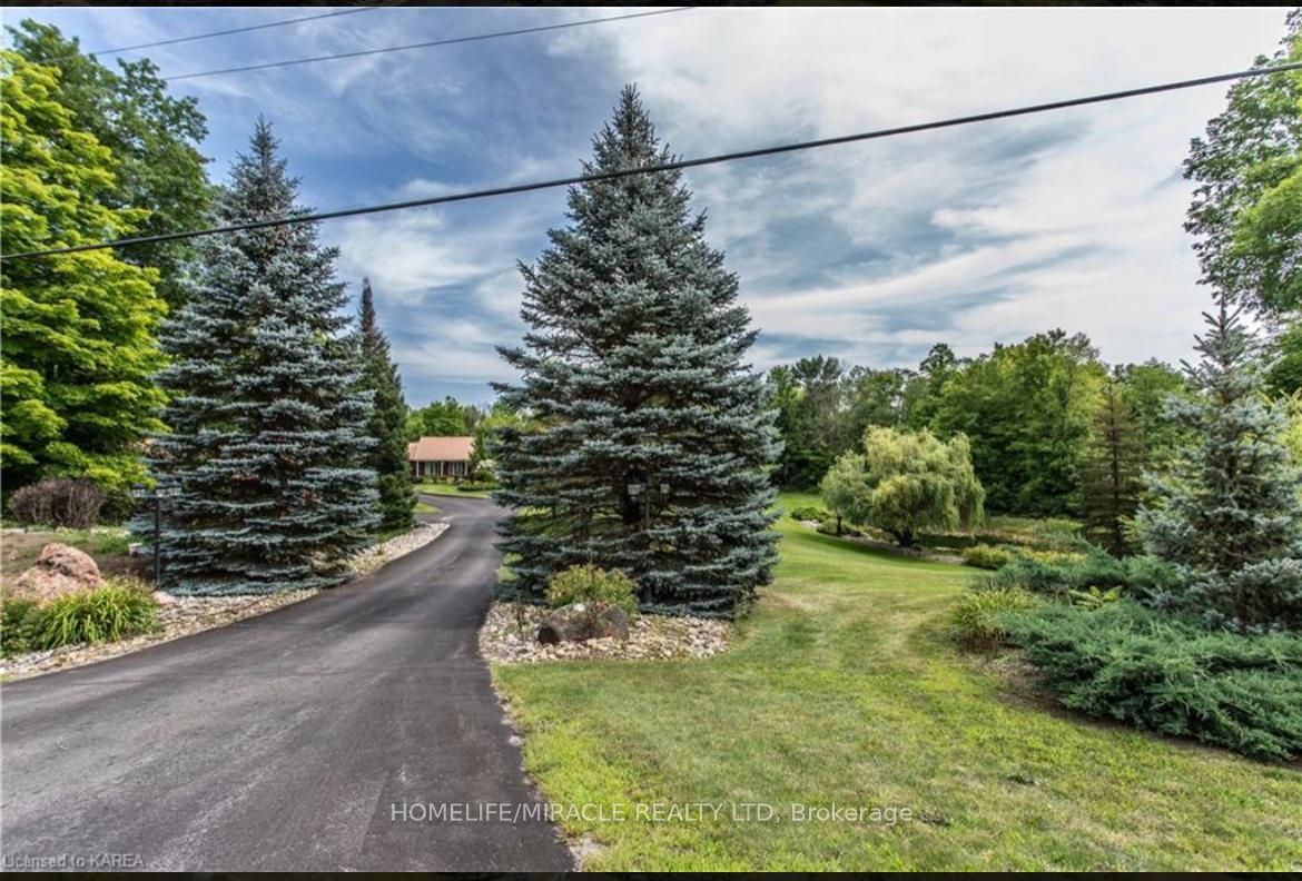 13382 Highway 38 Highway Property Photo 6