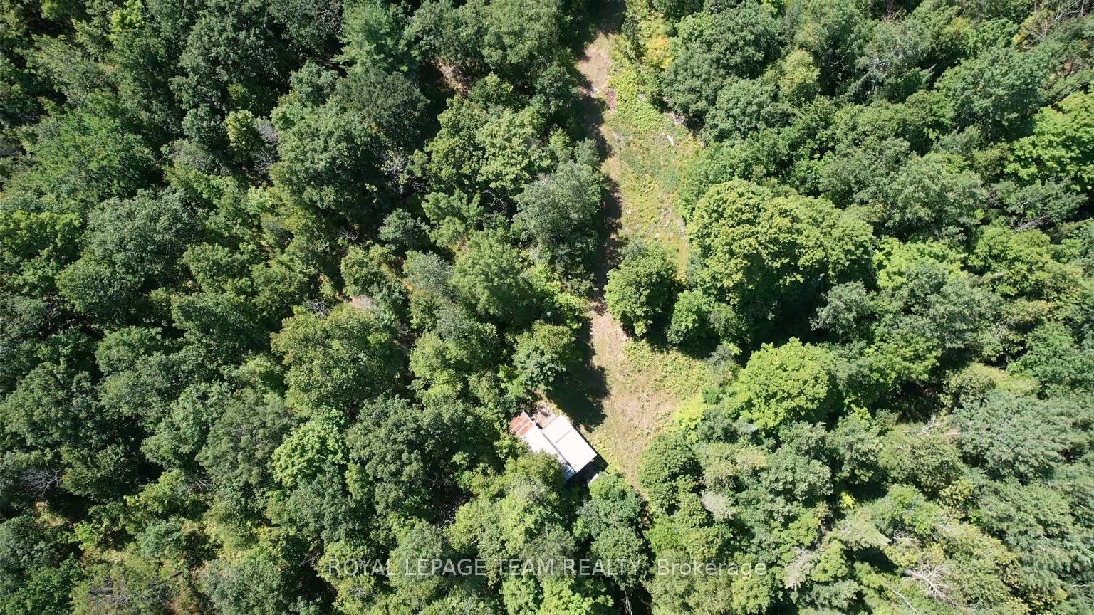 1506 Whelan Road Property Photo 11