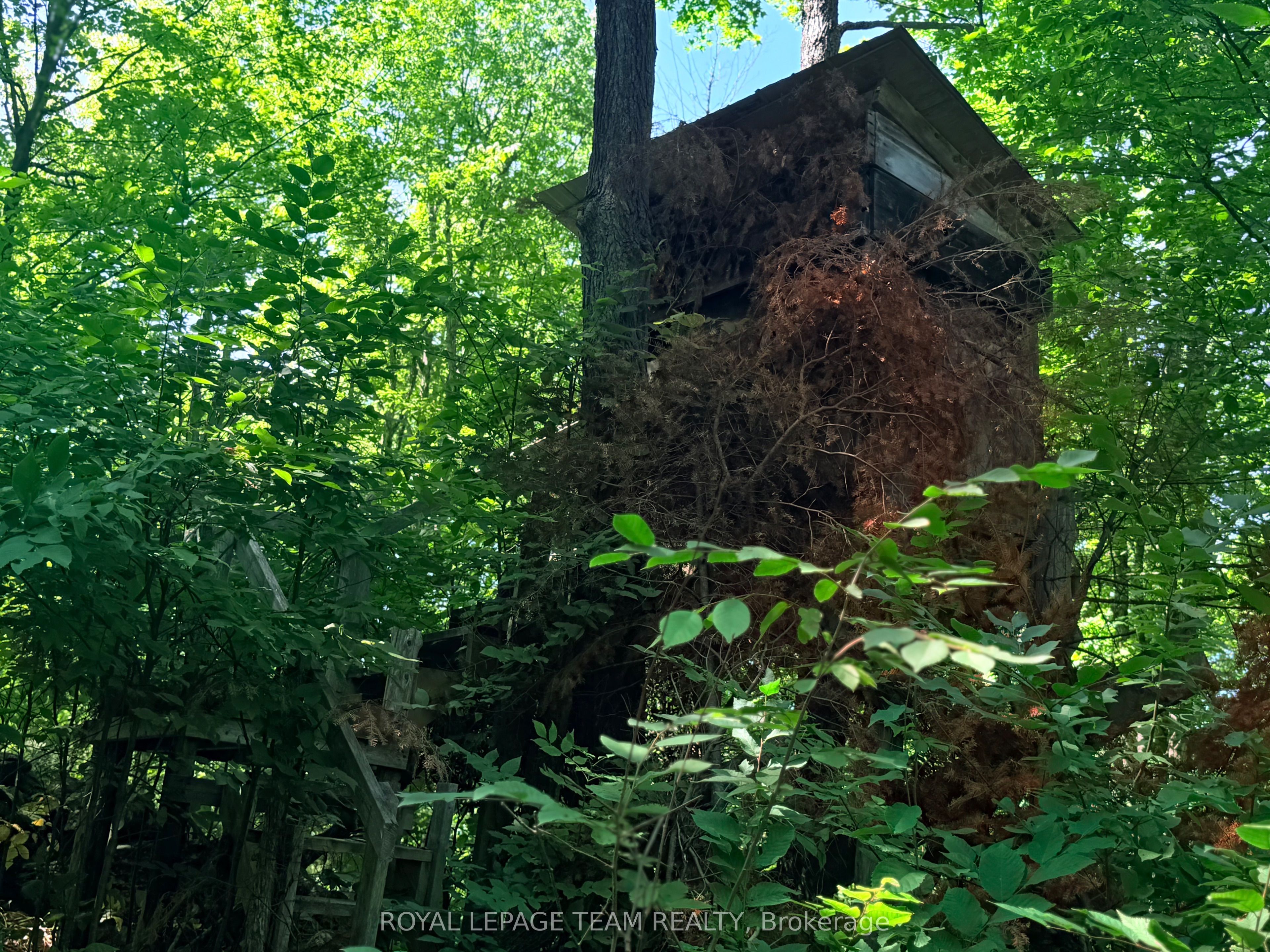1506 Whelan Road Property Photo 33