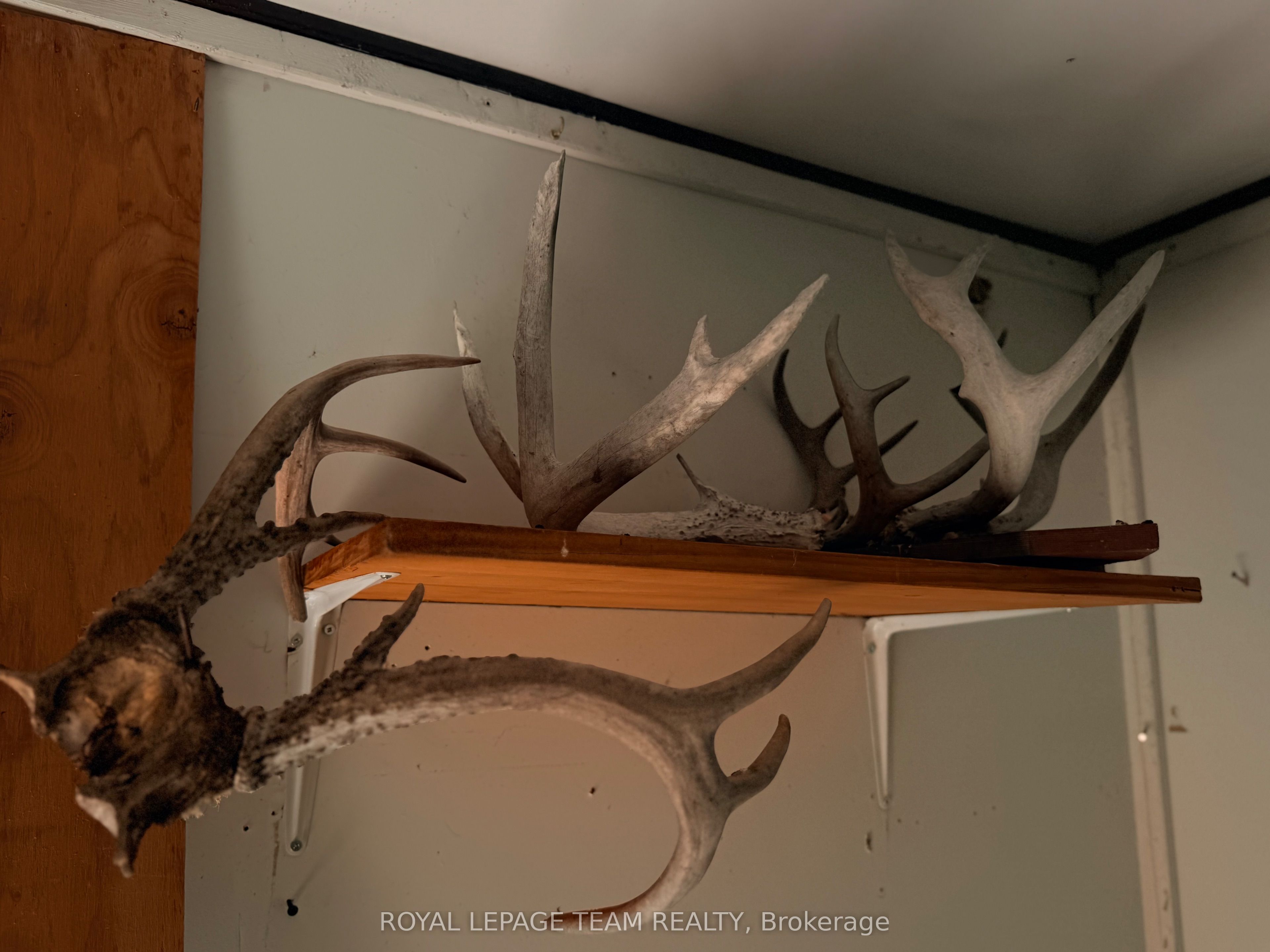 1506 Whelan Road Property Photo 34