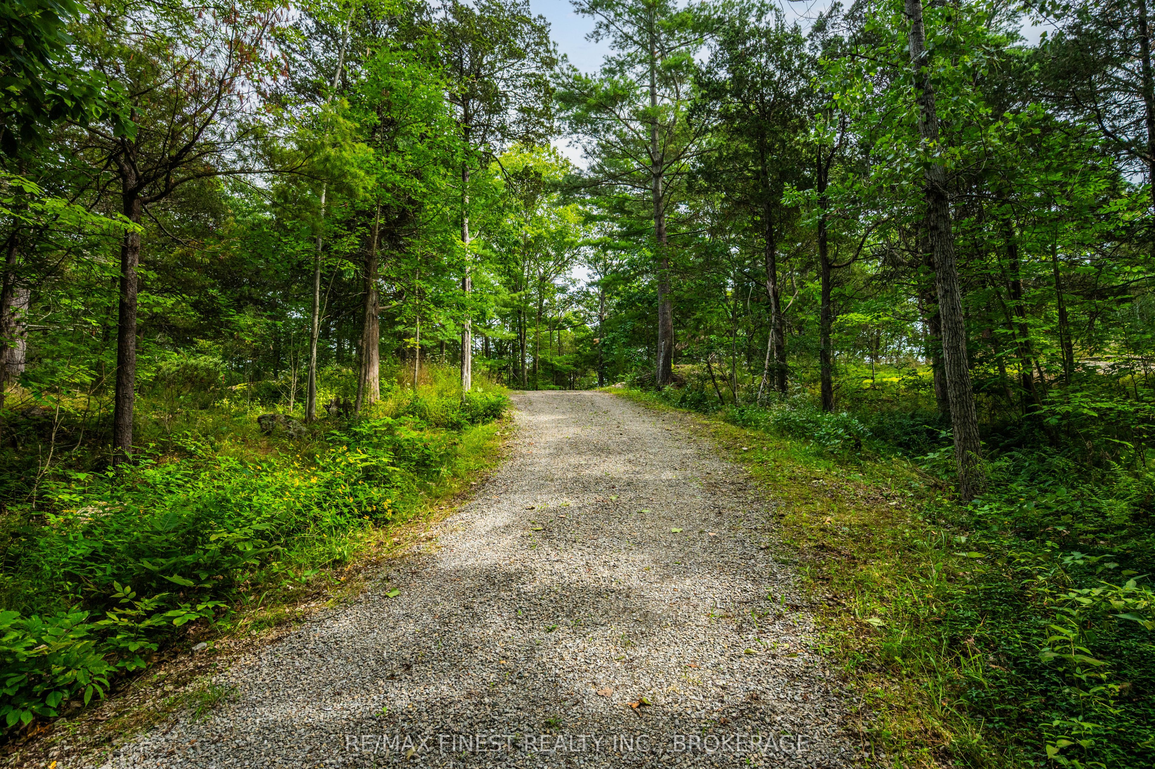 169 Old River Road Property Photo 3