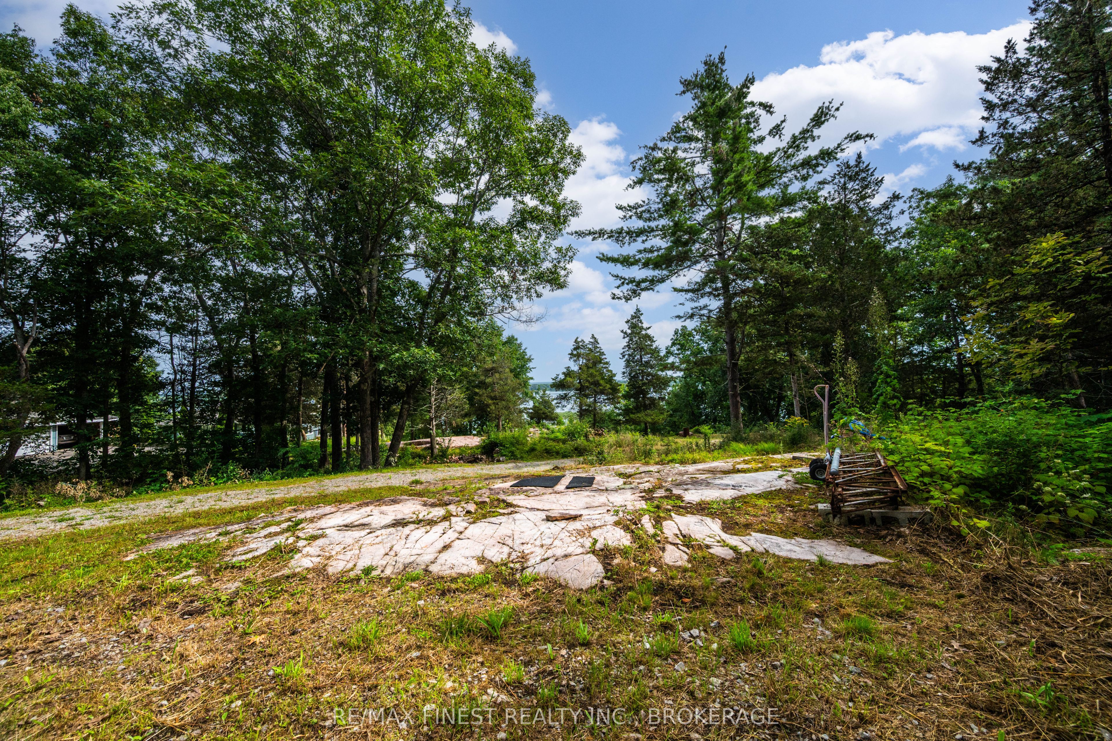 169 Old River Road Property Photo 6