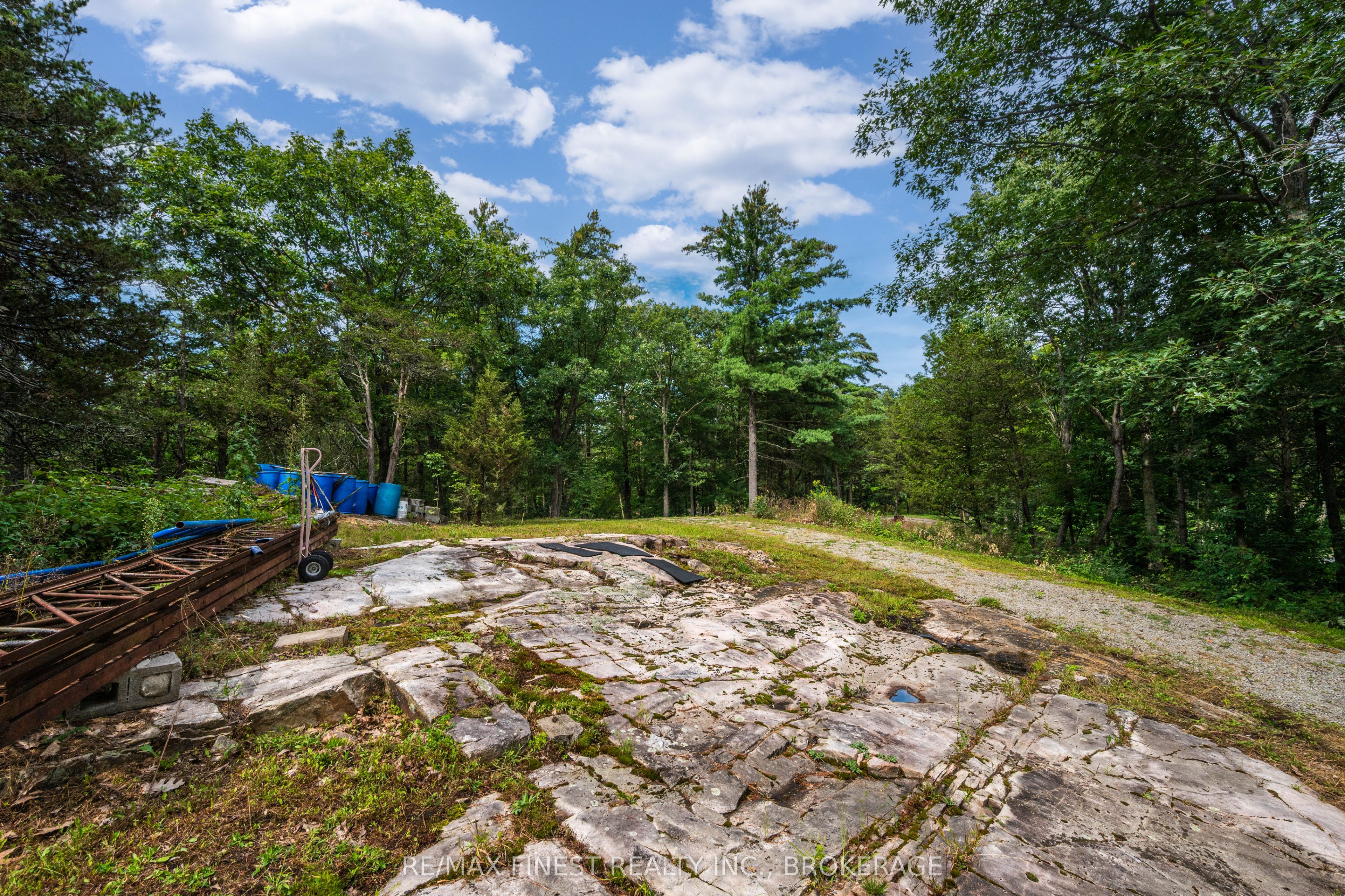 169 Old River Road Property Photo 7