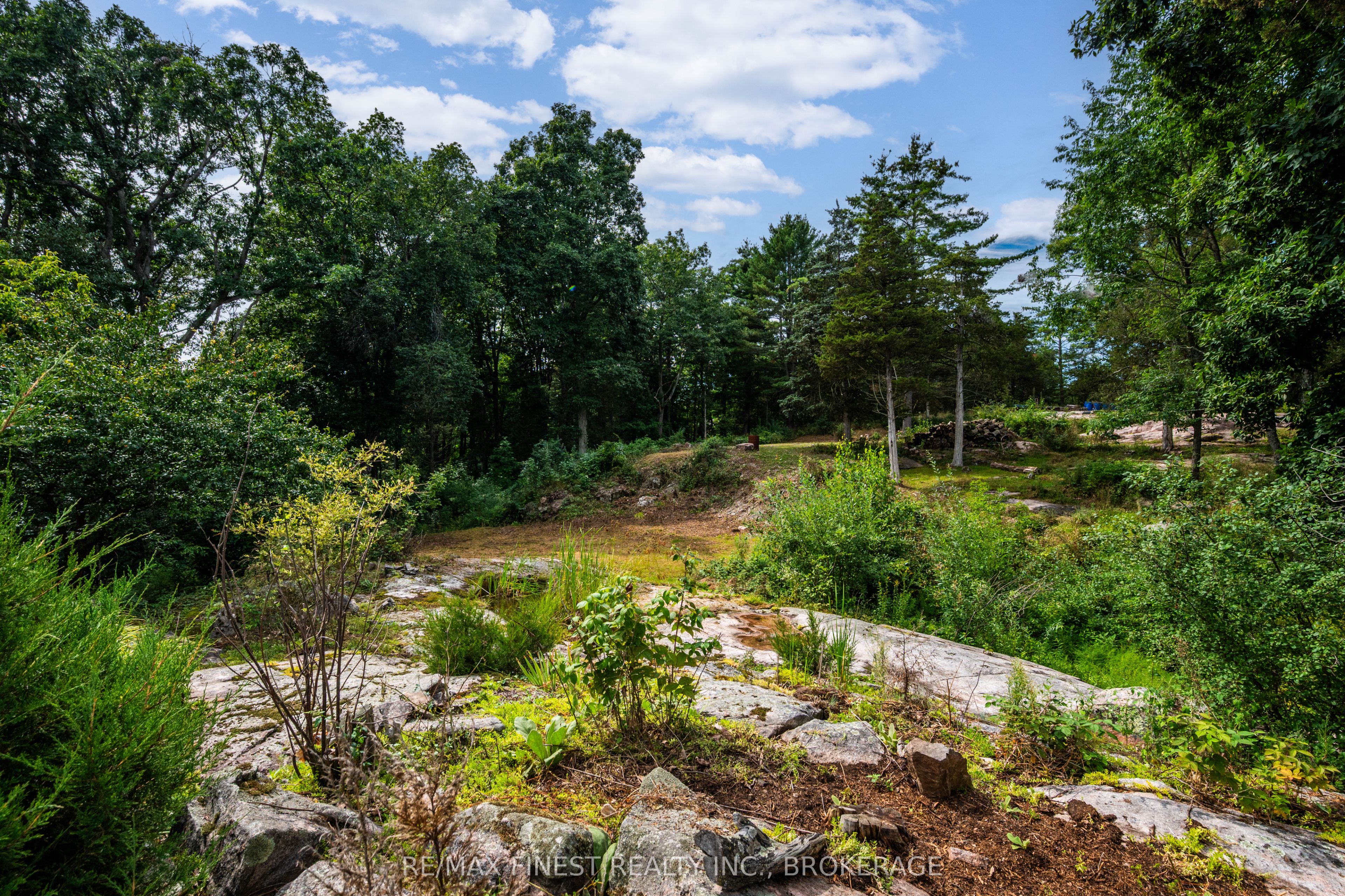 169 Old River Road Property Photo 13