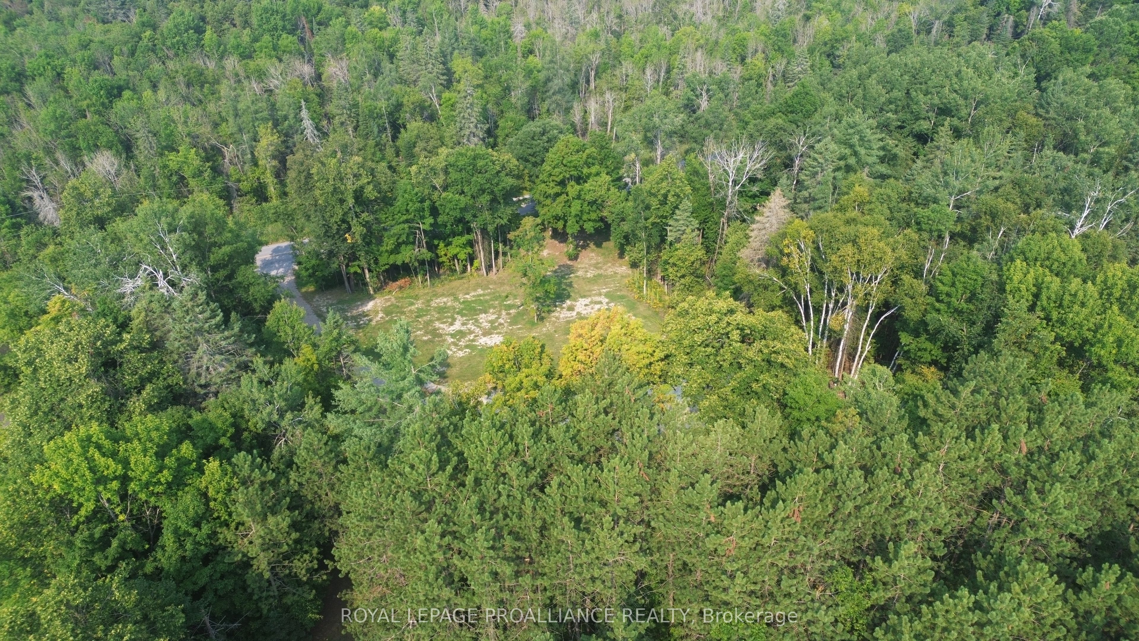 1054 Centre Line Road Property Photo 9