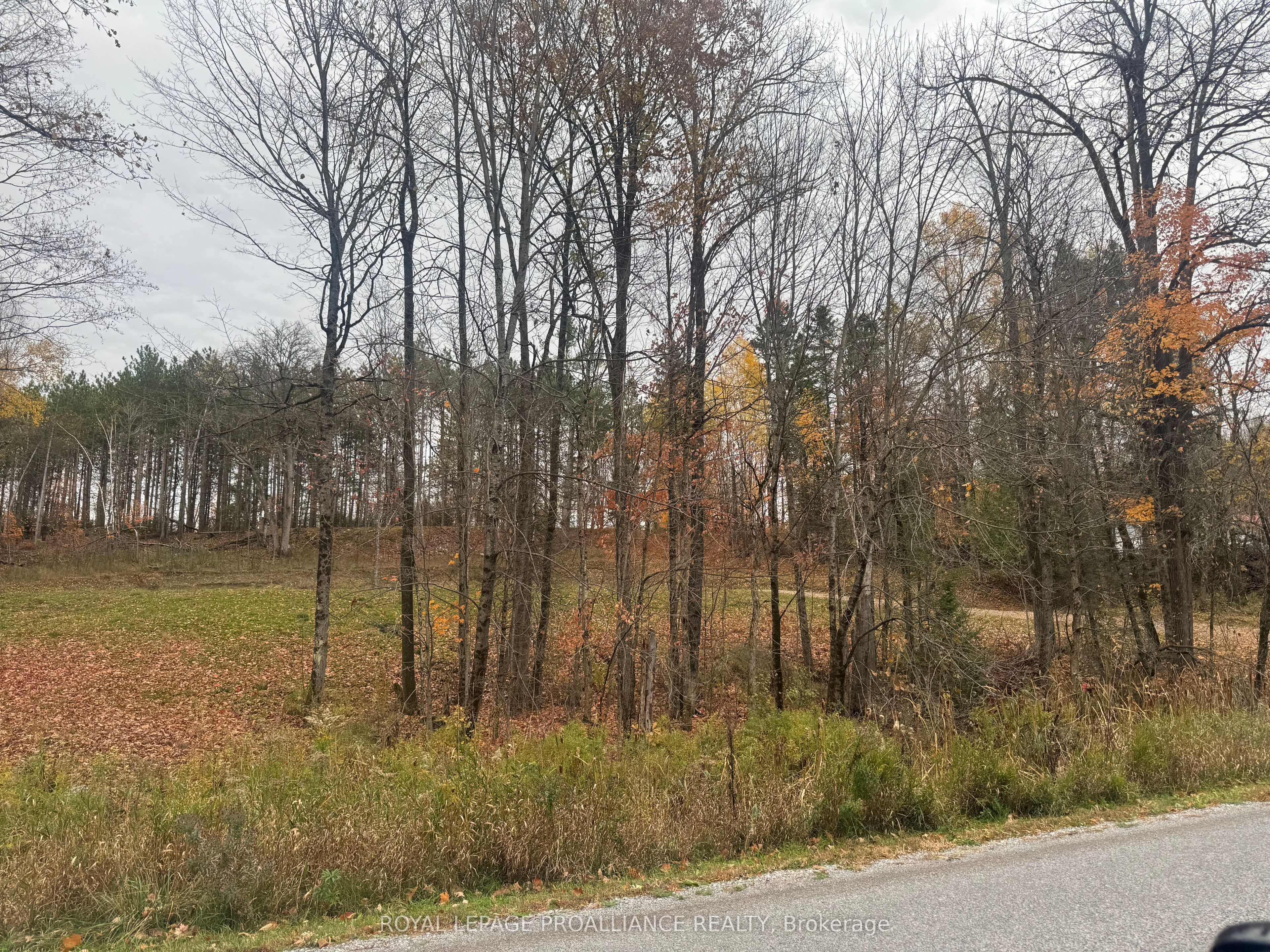 1054 Centre Line Road Property Photo 27