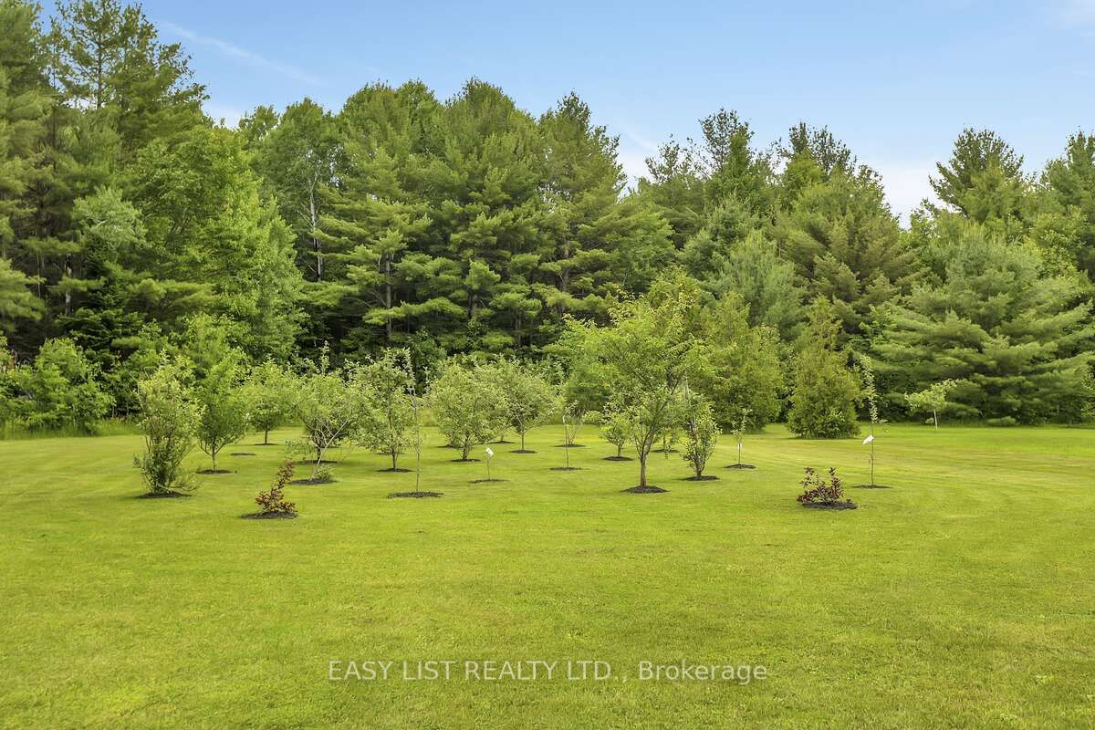2882 B Line Road Property Photo 34