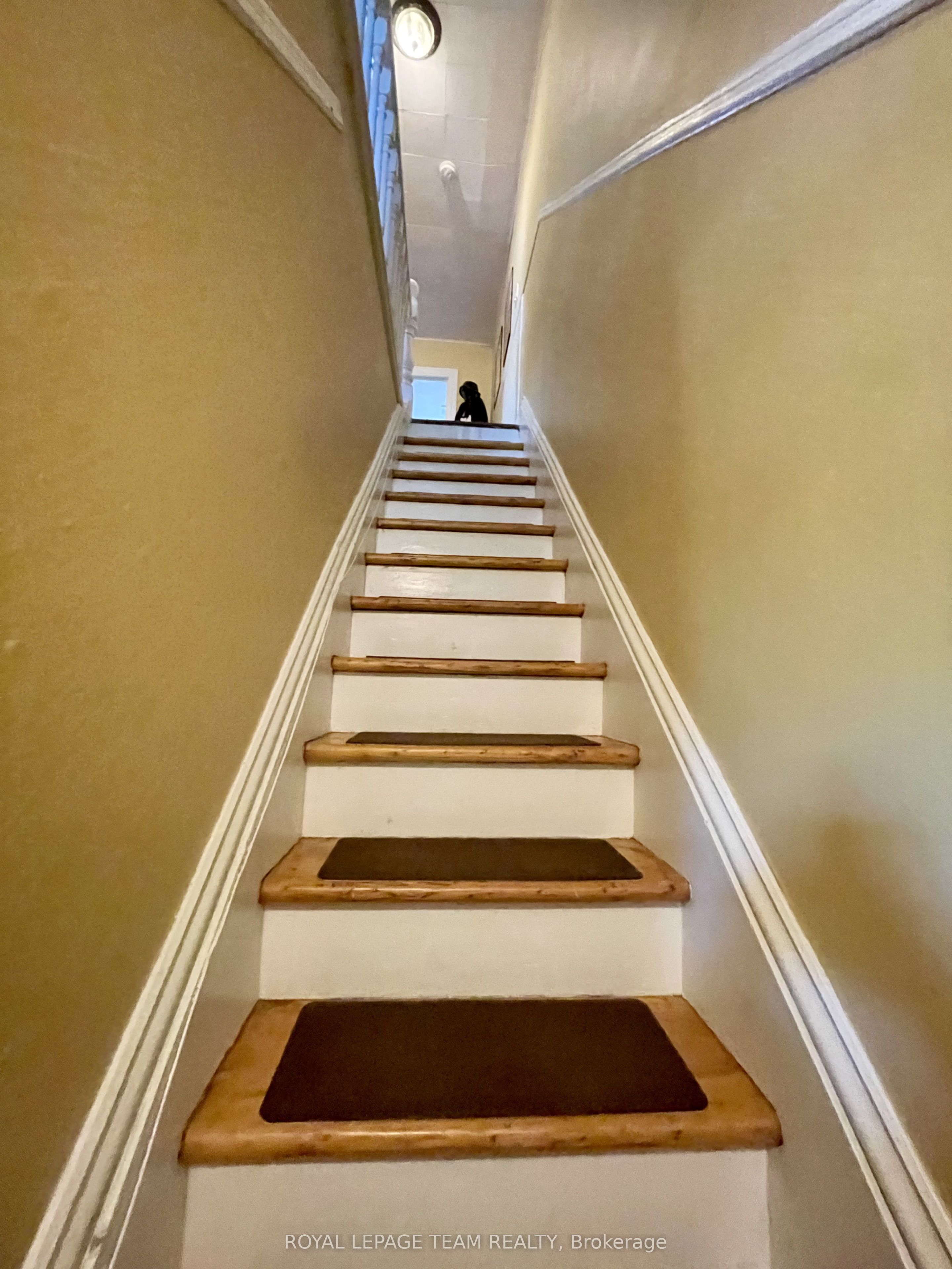 60 Herridge Street Property Photo 9