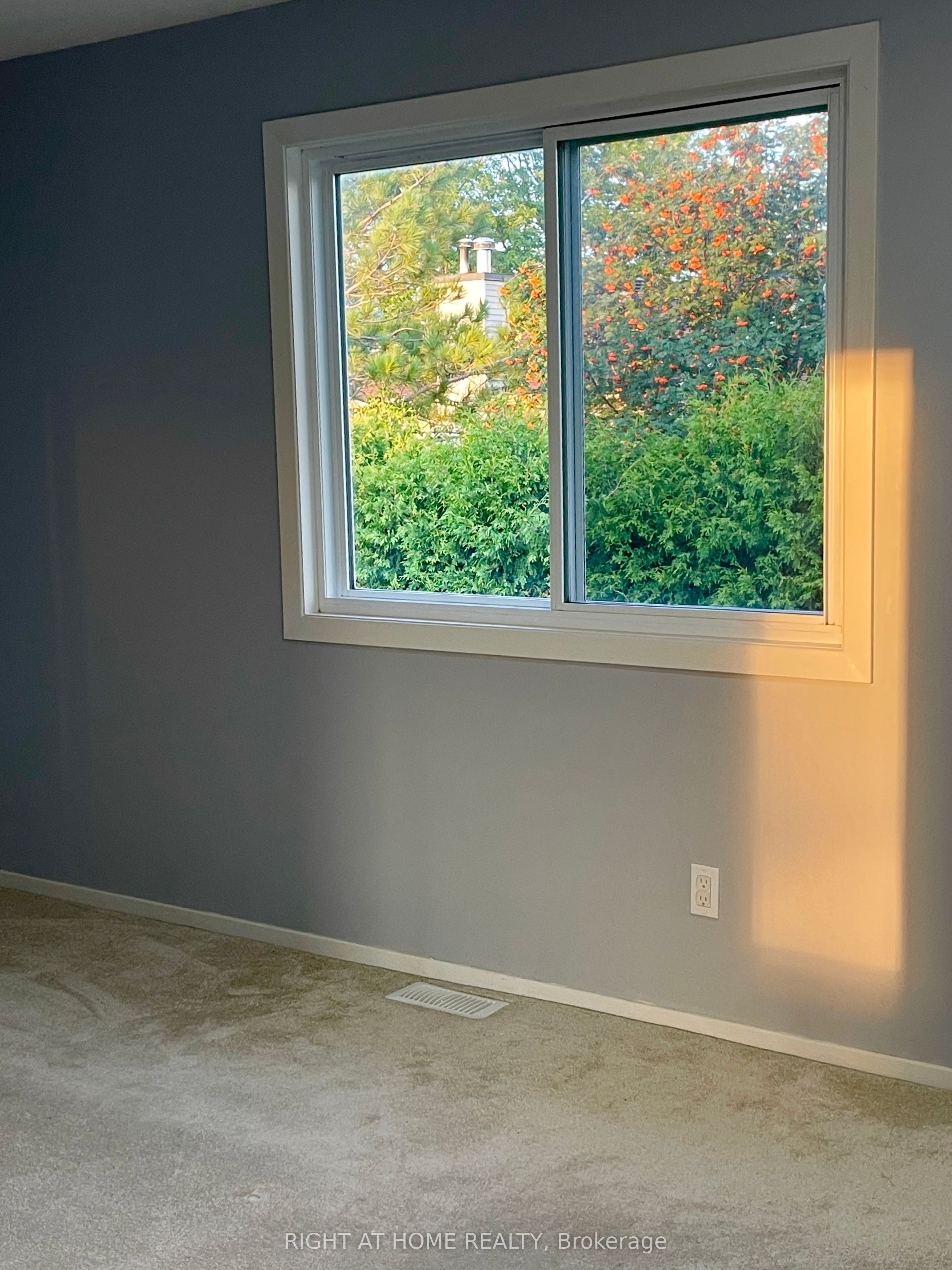 4b Millrise Lane Property Photo 10