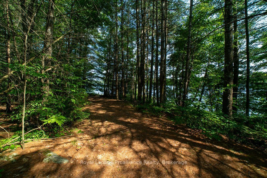 1402 Baker Valley Road Lot 2 Property Photo 29