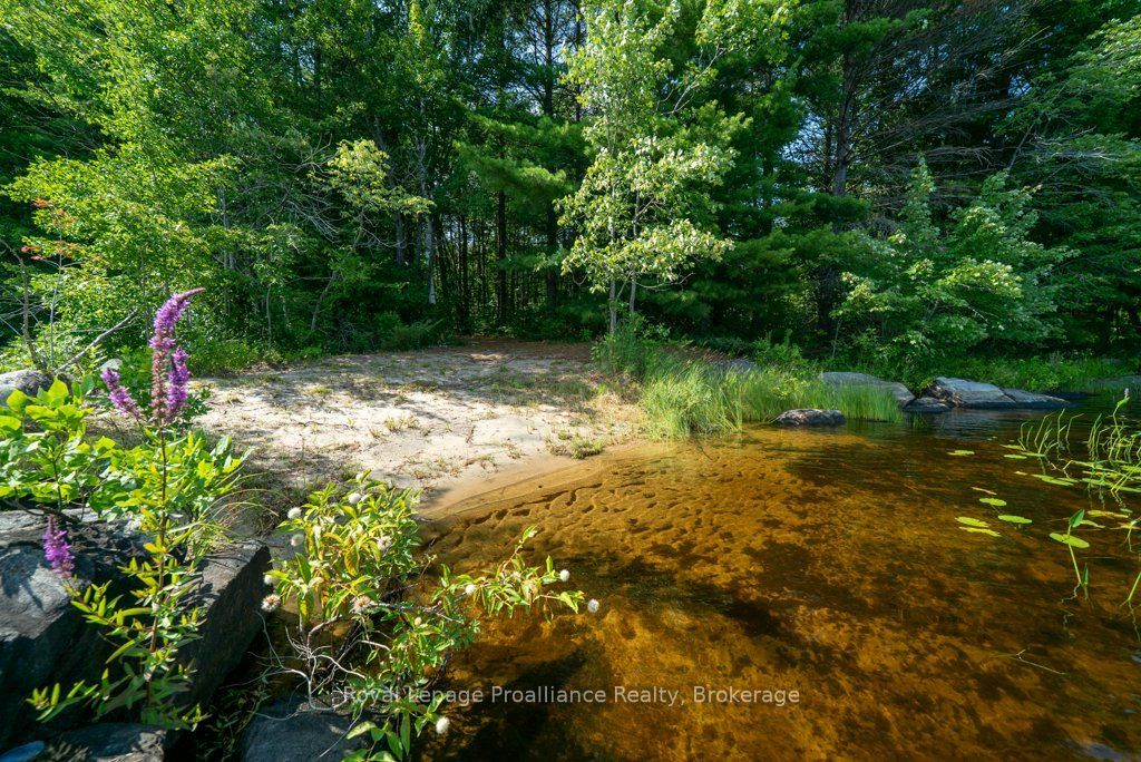 1402 Baker Valley Road Lot 2 Property Photo 37